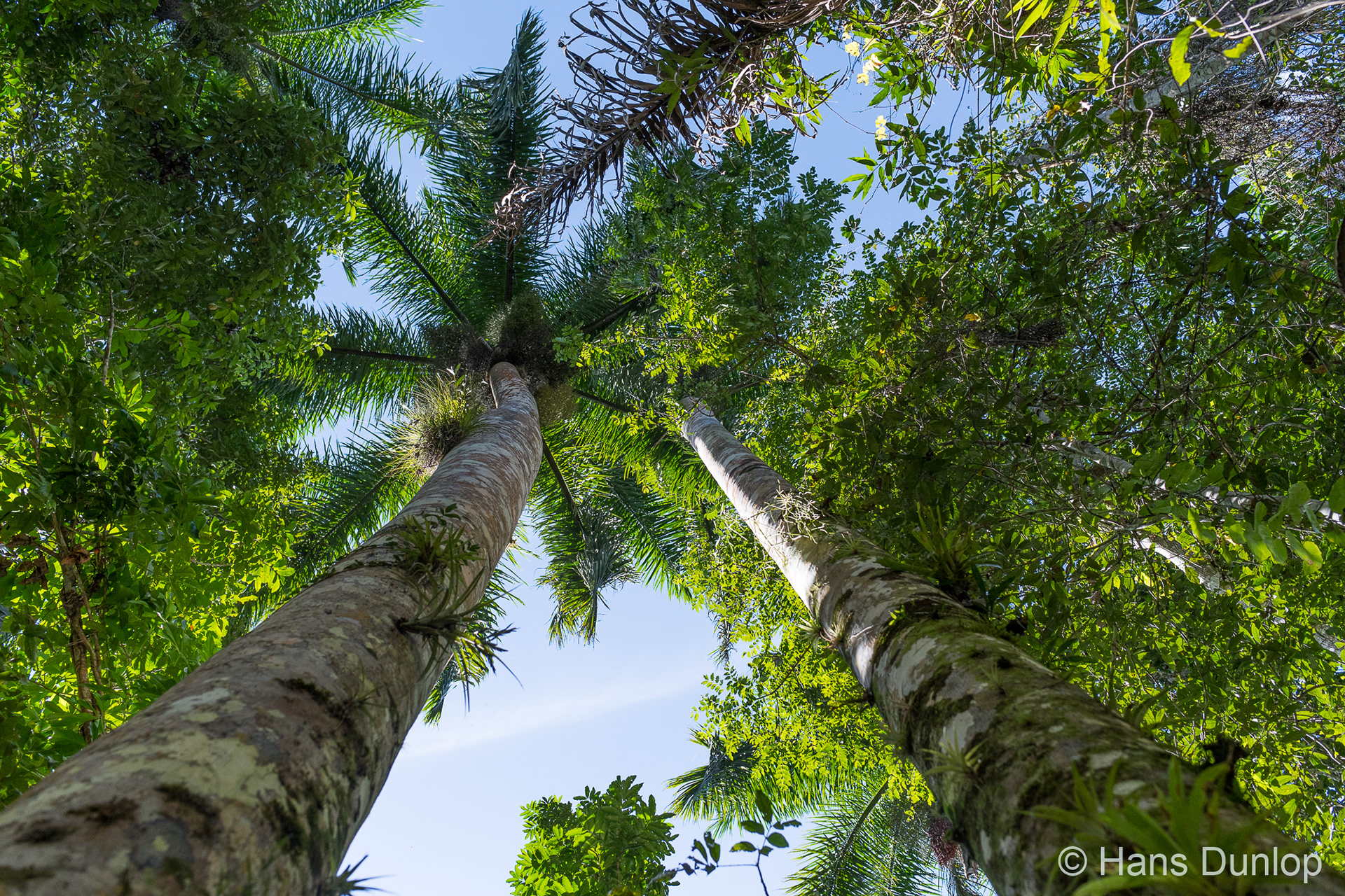 Topes de Collantes, Cuba