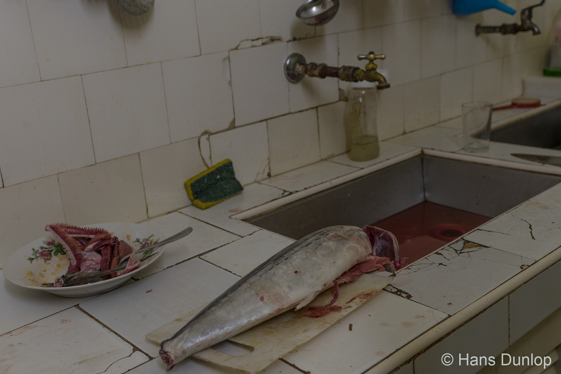 Fresh fish for dinner