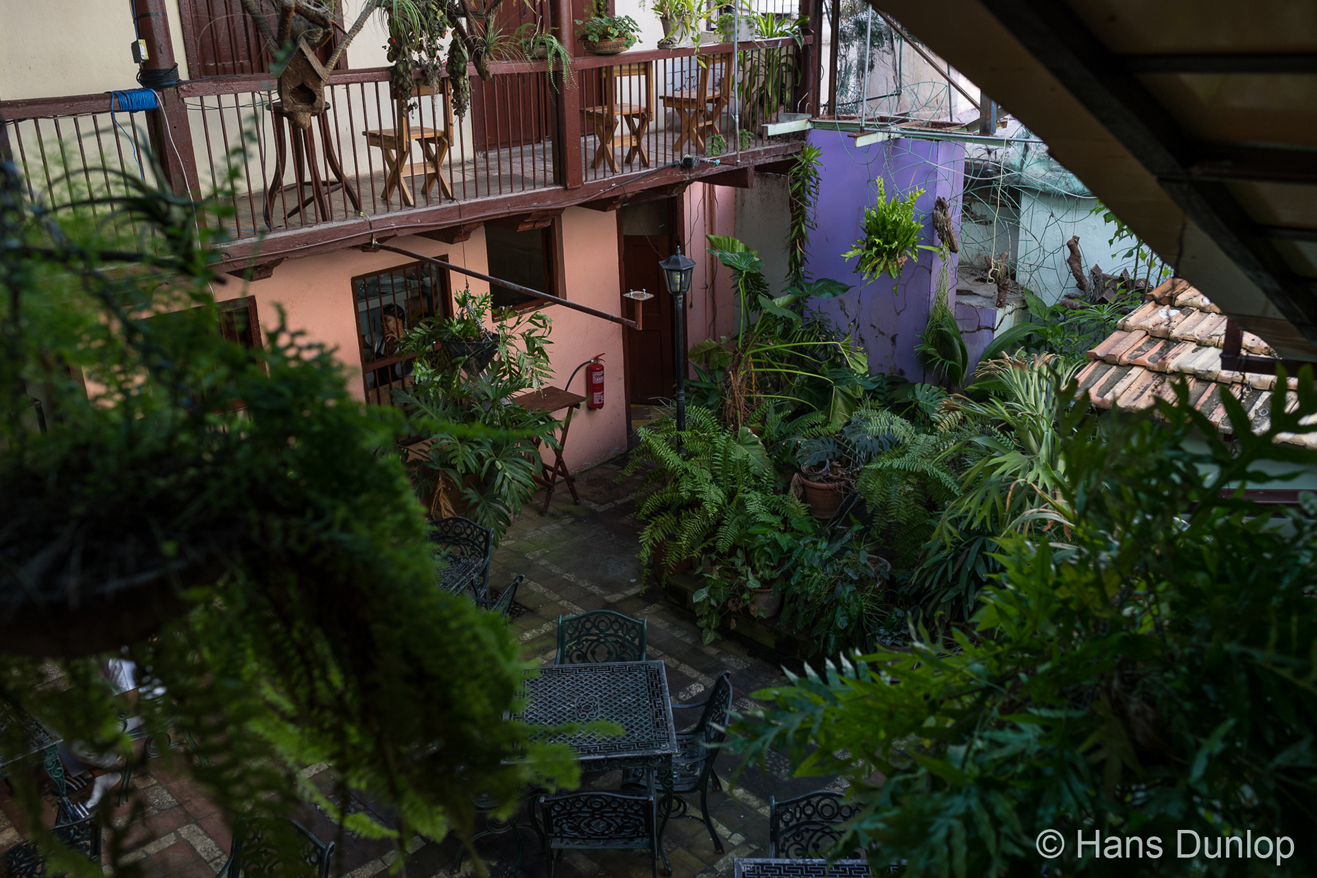 A very green restaurant