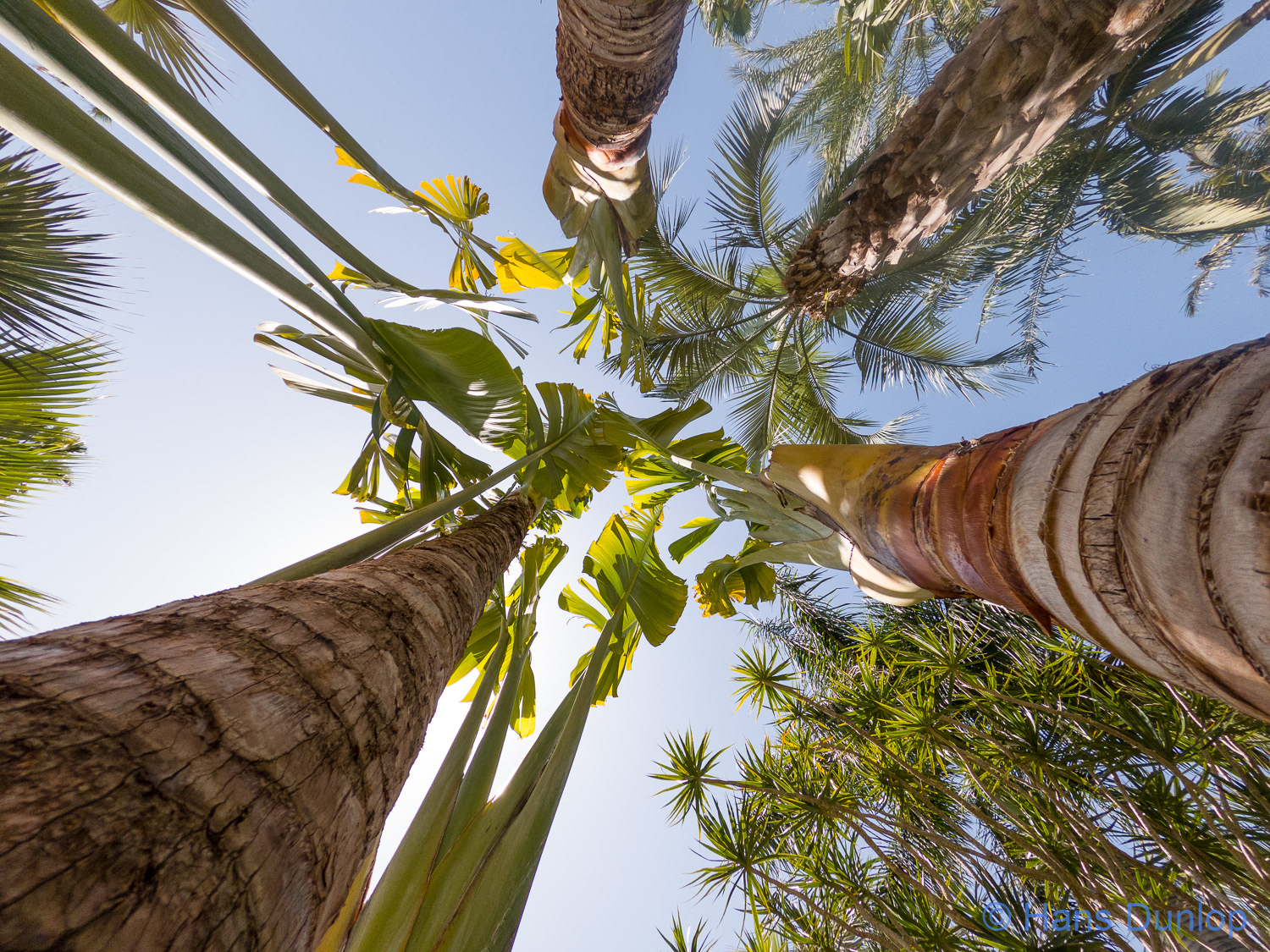Jardin Botanico Molino de Inca, Torremolinos
