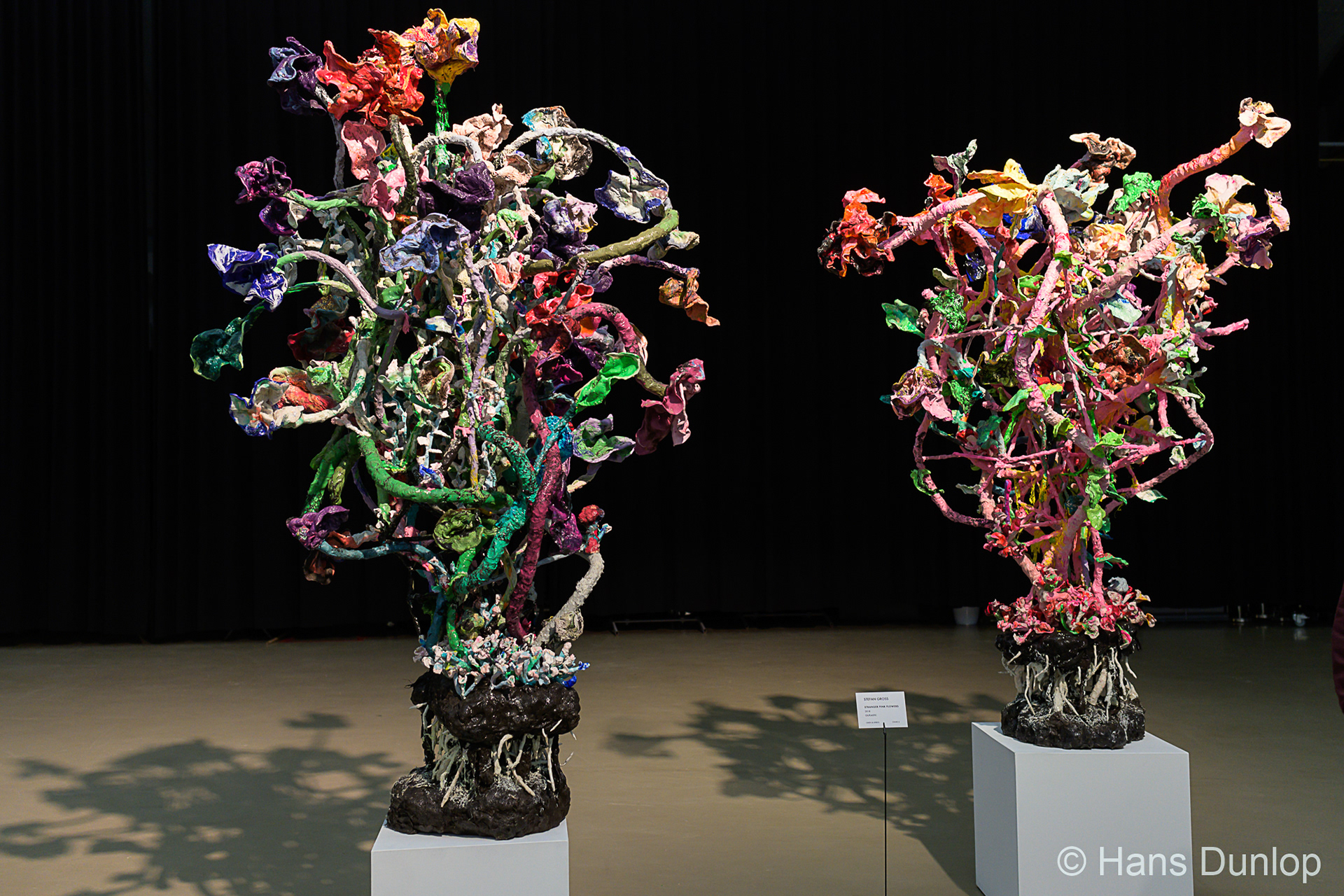 Chiefs & Spirits presents Stephan Gross