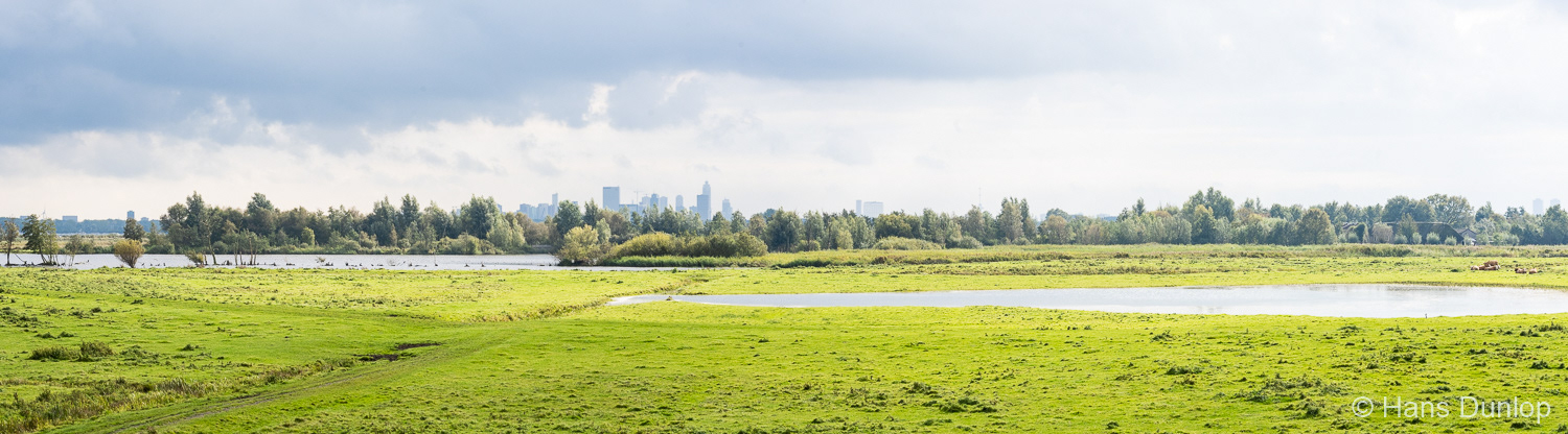 Ackerdijkce Plassen