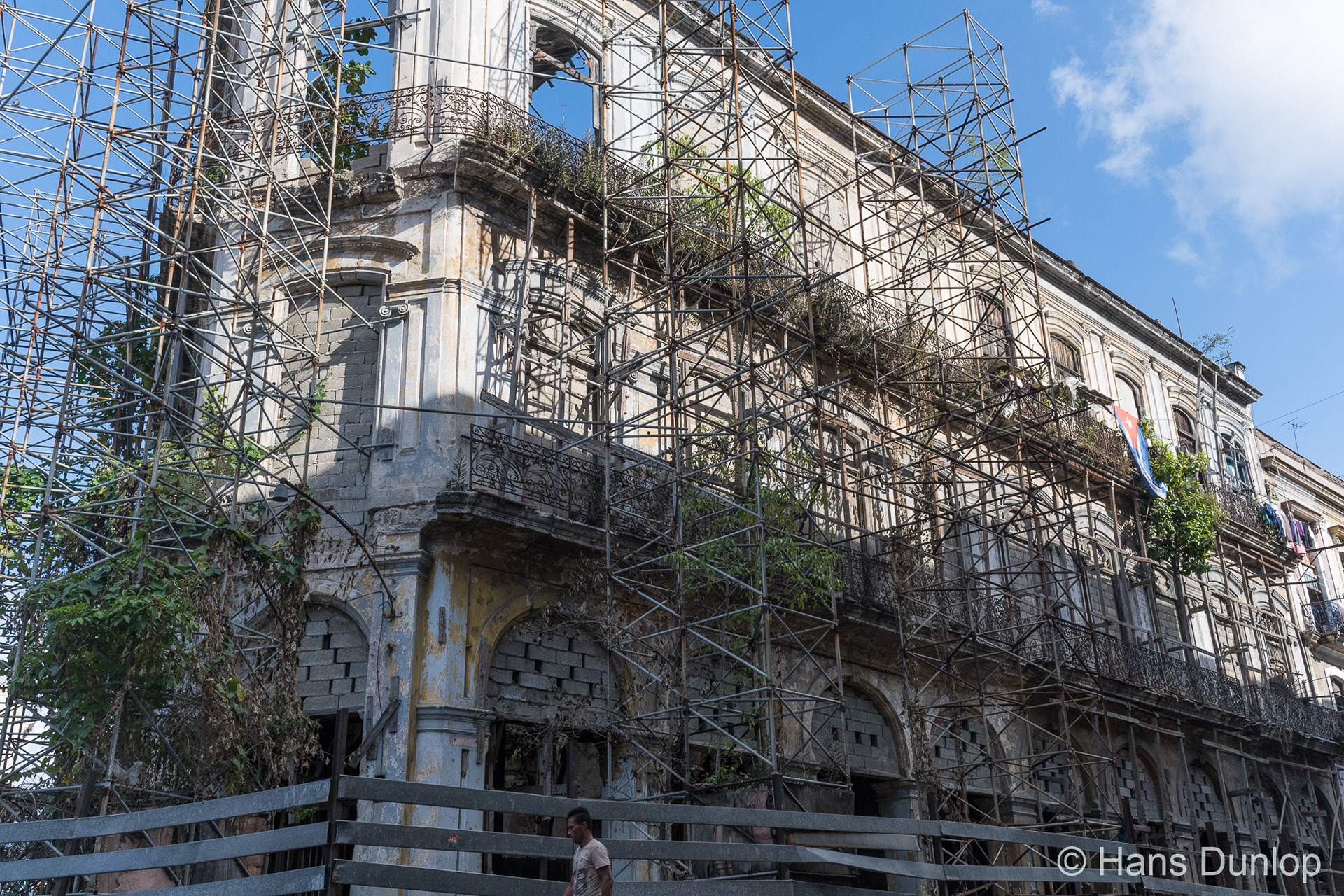 Trees help to hold it together