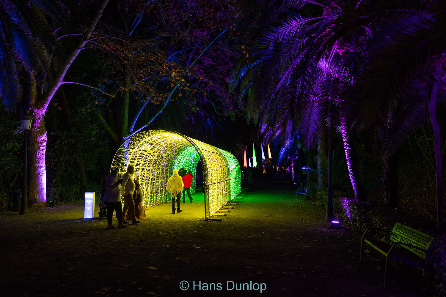 Christmas Garden: Jardin de la Conception