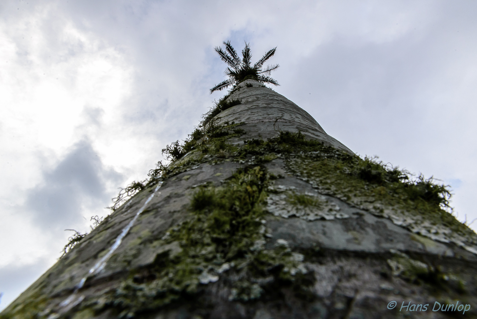 Los Nevadas, Salento, Colombia