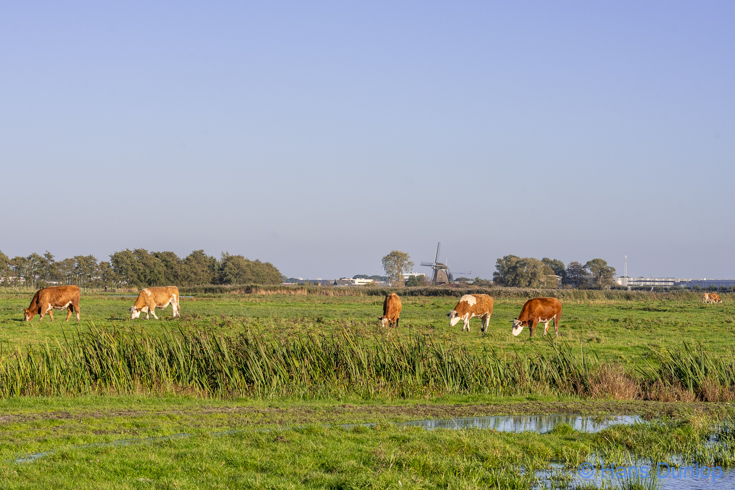 Ackerdijckse Plassen