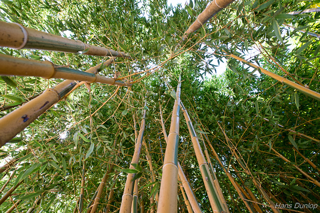 Parque Paloma, Benalmadena