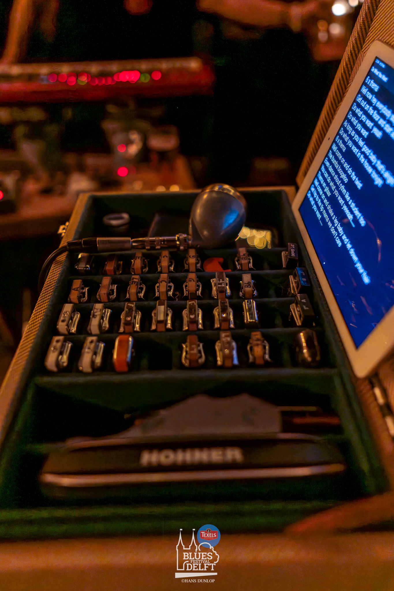 Possum Belly in De Volder