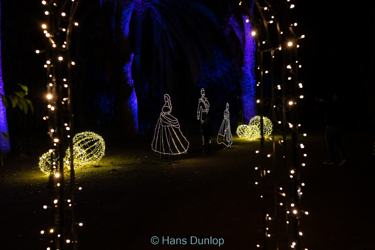 Christmas Garden: Jardin de la Conception