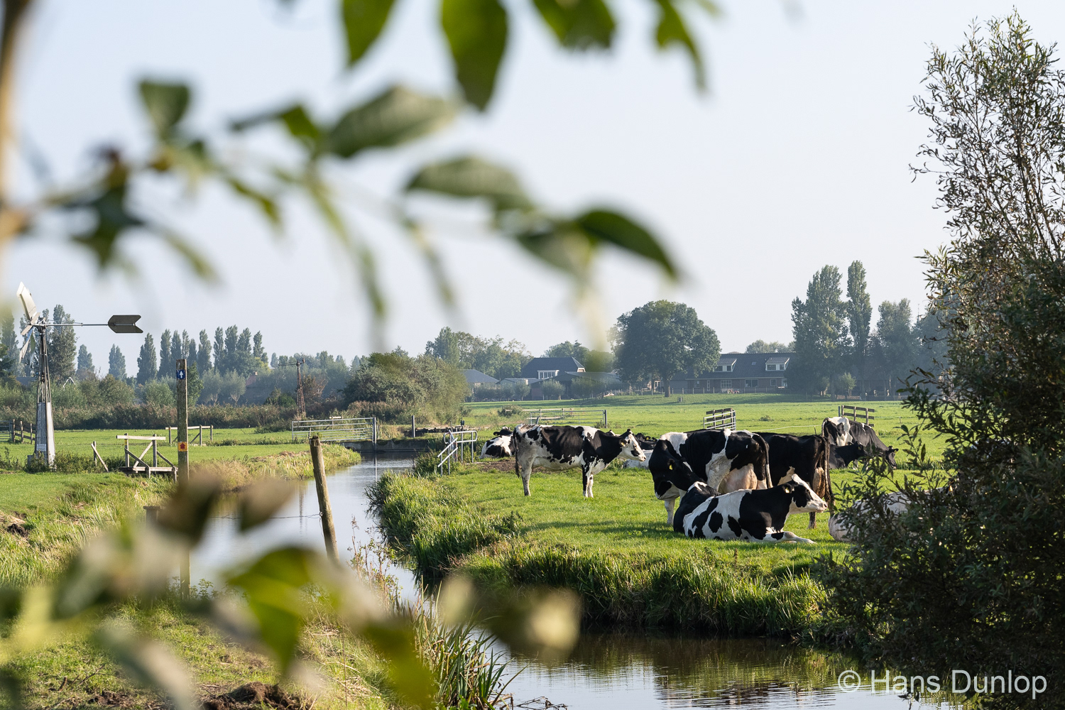 Voddijkpad, Schipluiden