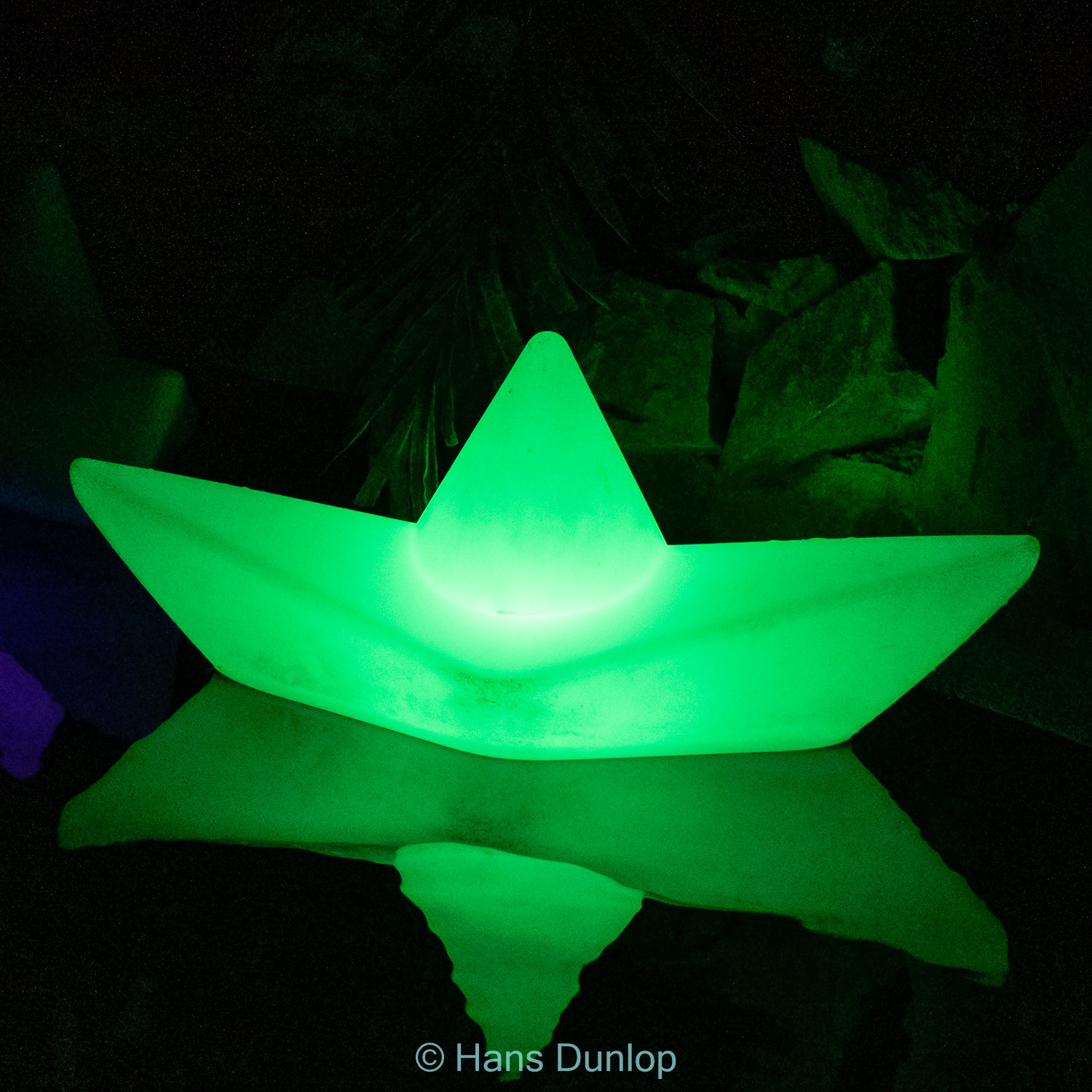 Christmas Garden: Jardin de la Conception