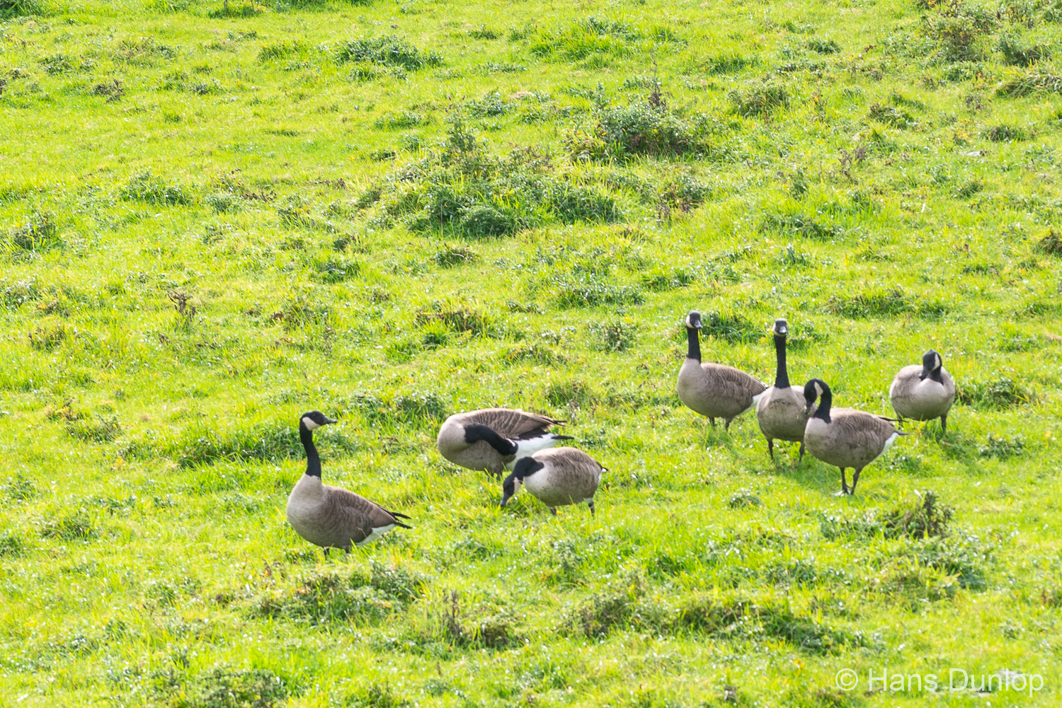 Ackerdijkse Plassen