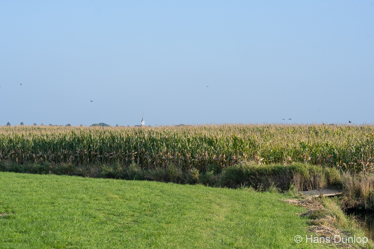 Voddijkpad, Schipluiden
