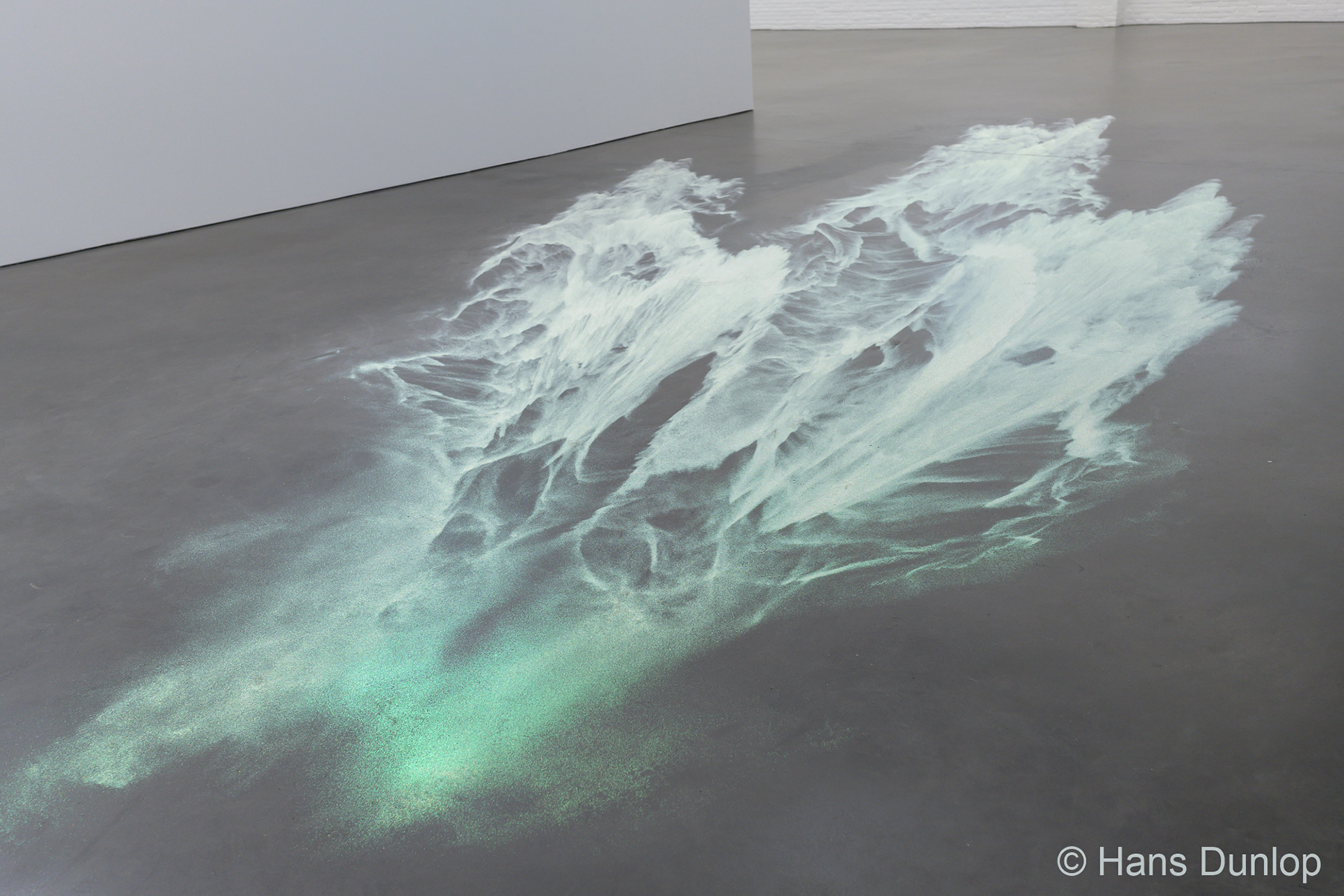 Ann Veronique Janssens