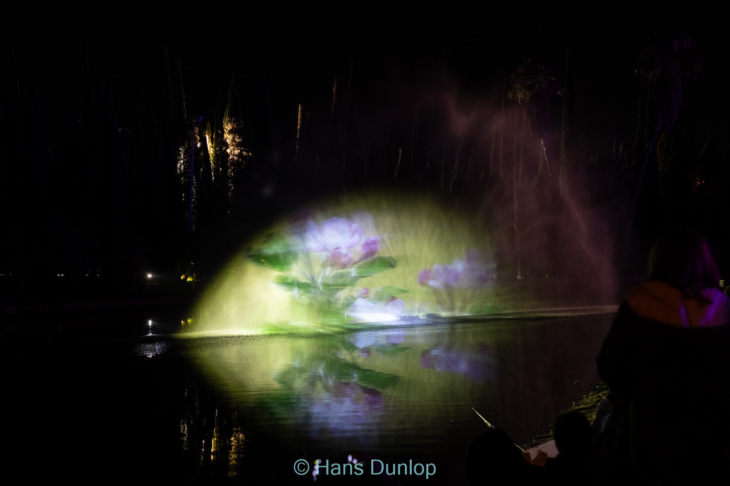 Christmas Garden: Jardin de la Conception