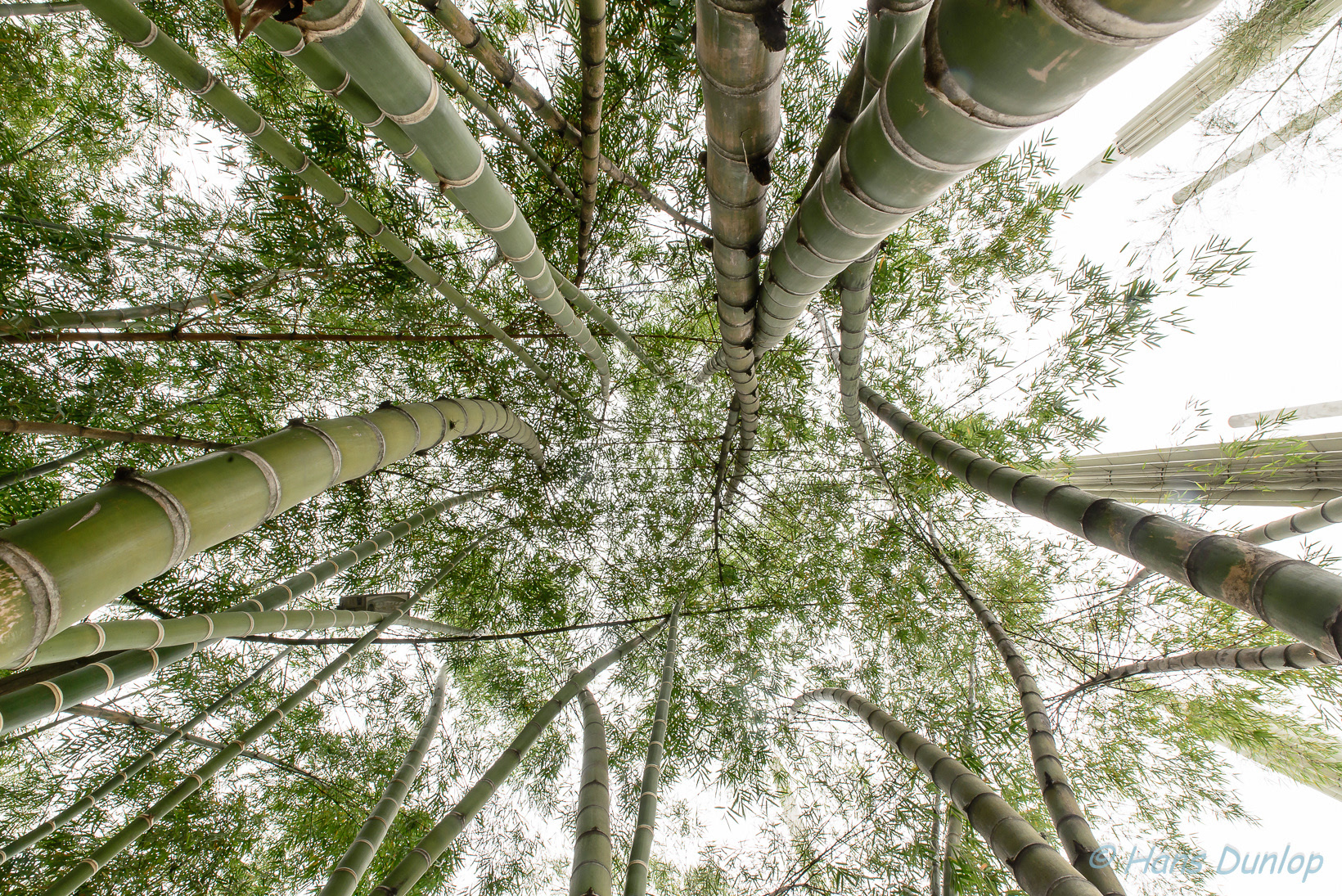 Parque De Las Luces, Medellin, Colombia