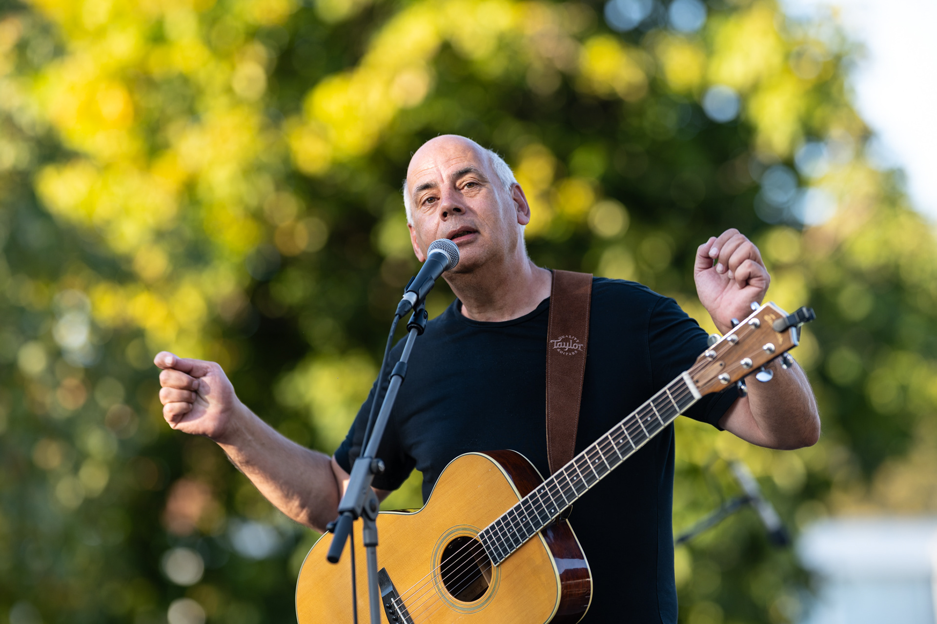 Peter Chattelin: Mr. Pink