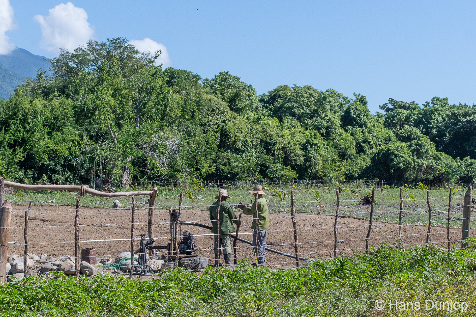 A stone can work as hammer too, how to build an irrigation system