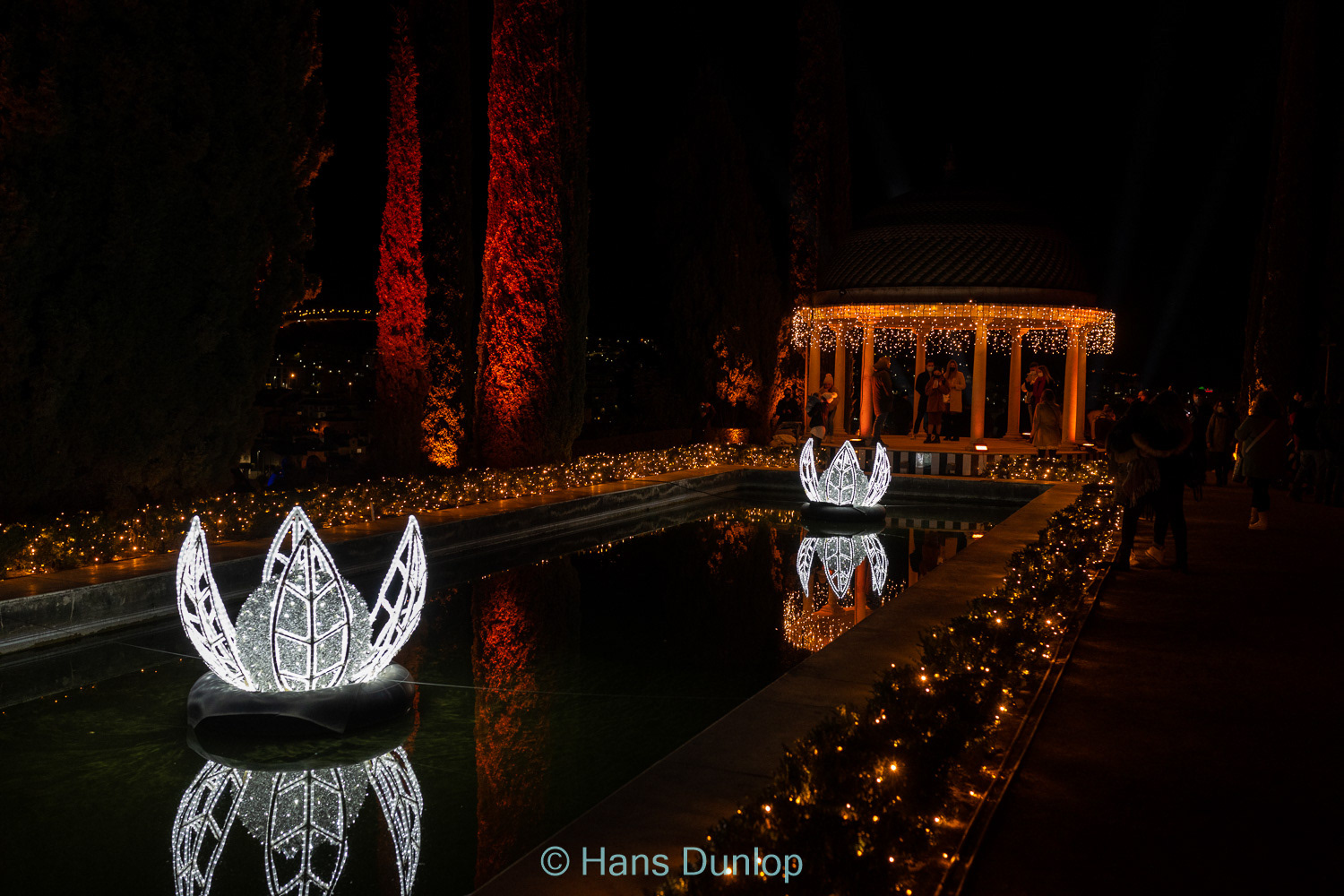 Christmas Garden: Jardin de la Conception