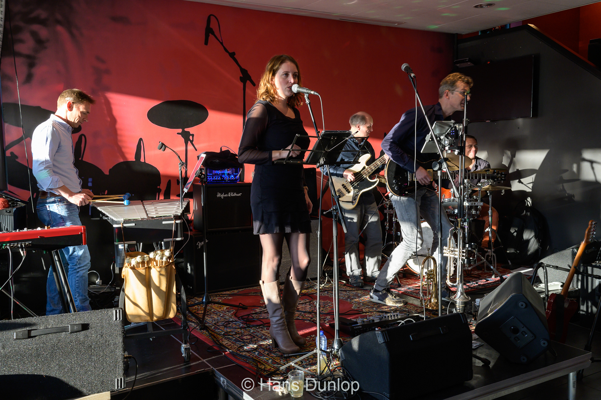 Tuinfeest in Hampshire