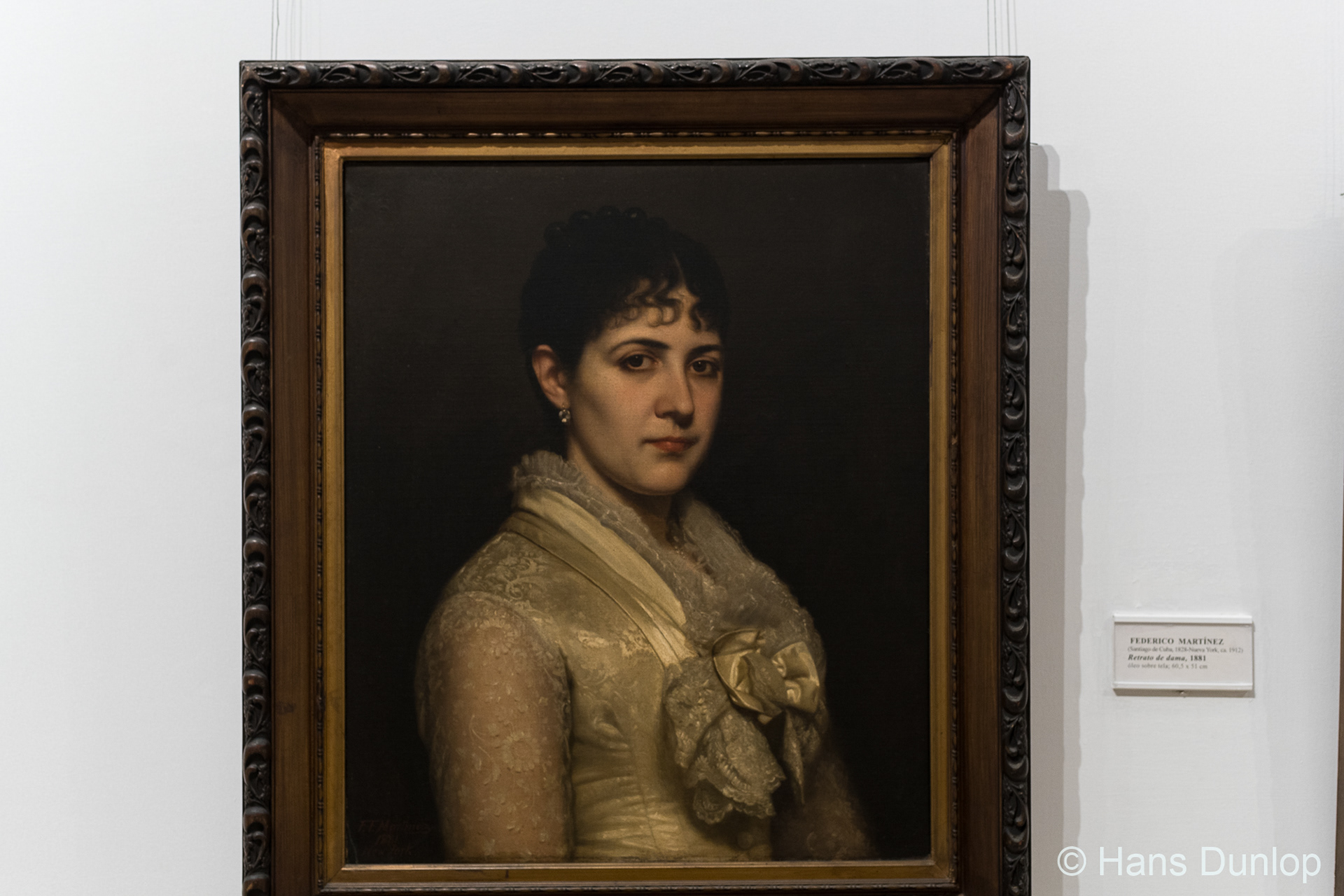 Federico Martinez: Retrato de dama (1881)