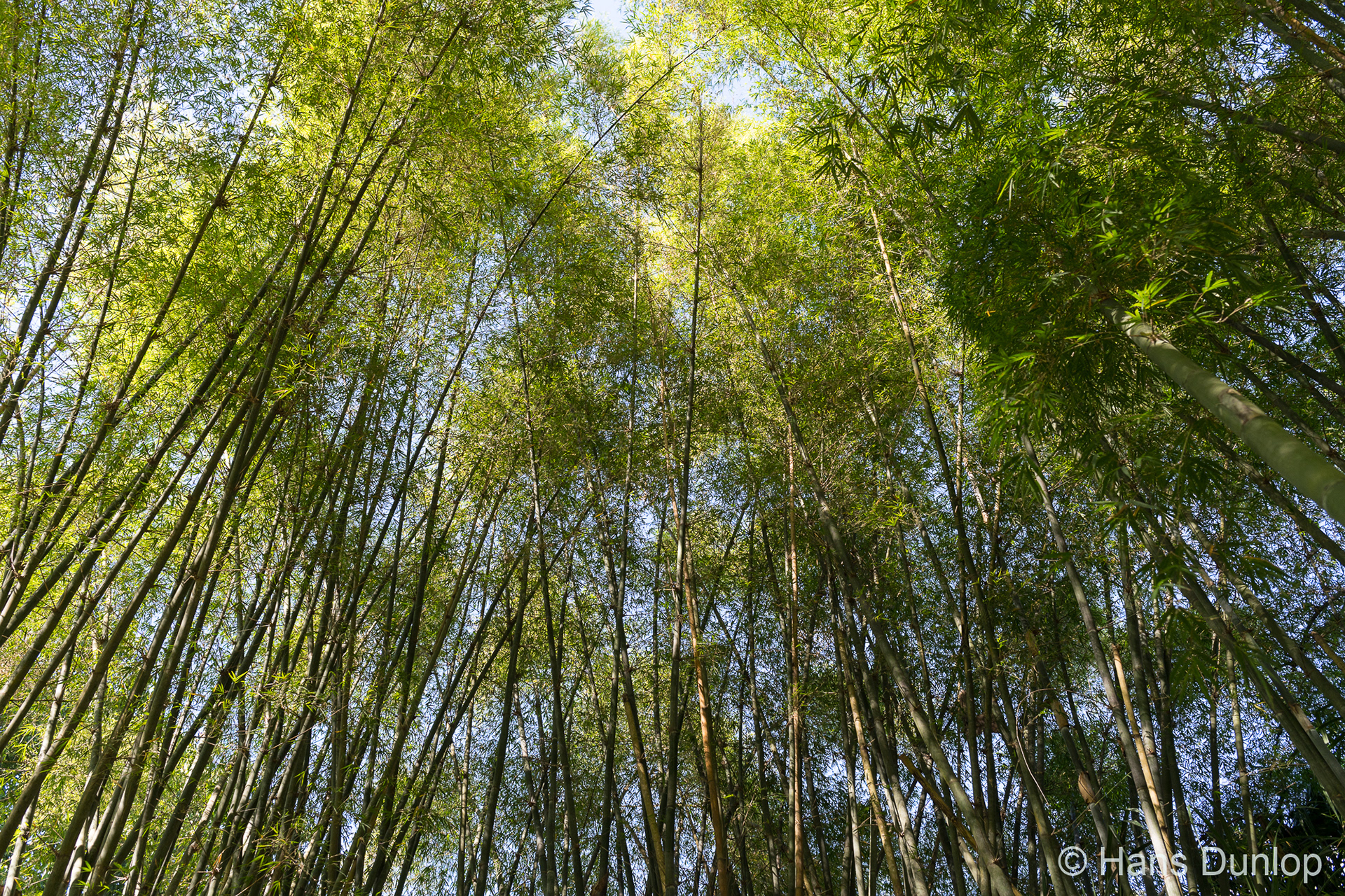 Jardin_Botanico Cienfuegos, Cuba