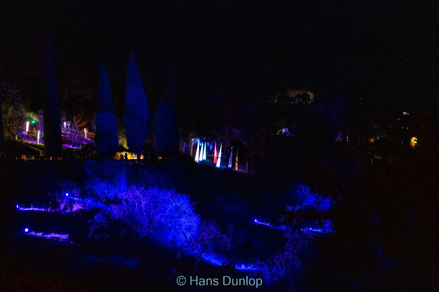 Christmas Garden: Jardin de la Conception