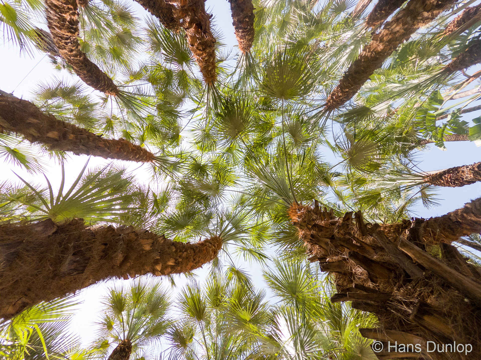 Jardin Botanico Molino de Inca, Torremolinos