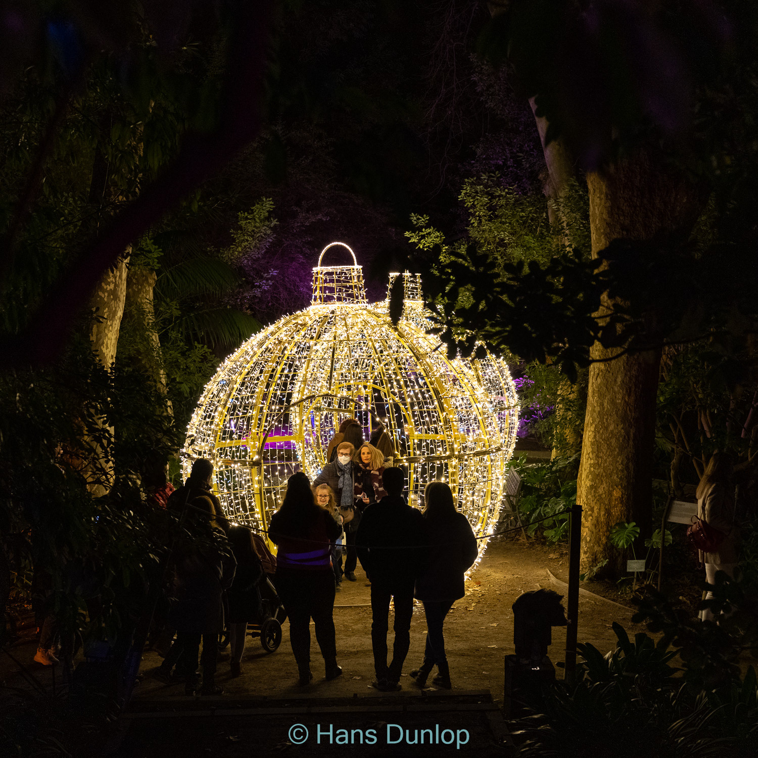 Christmas Garden: Jardin de la Conception