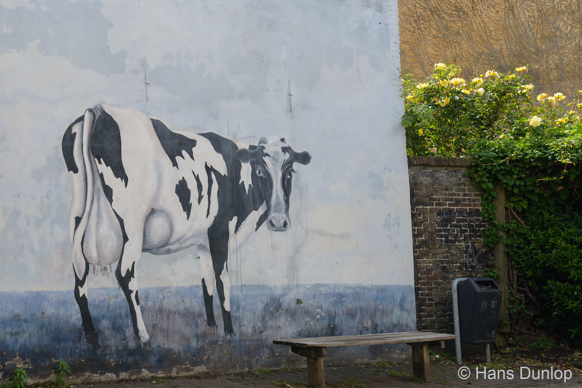 Dirk Langendwarsstraat