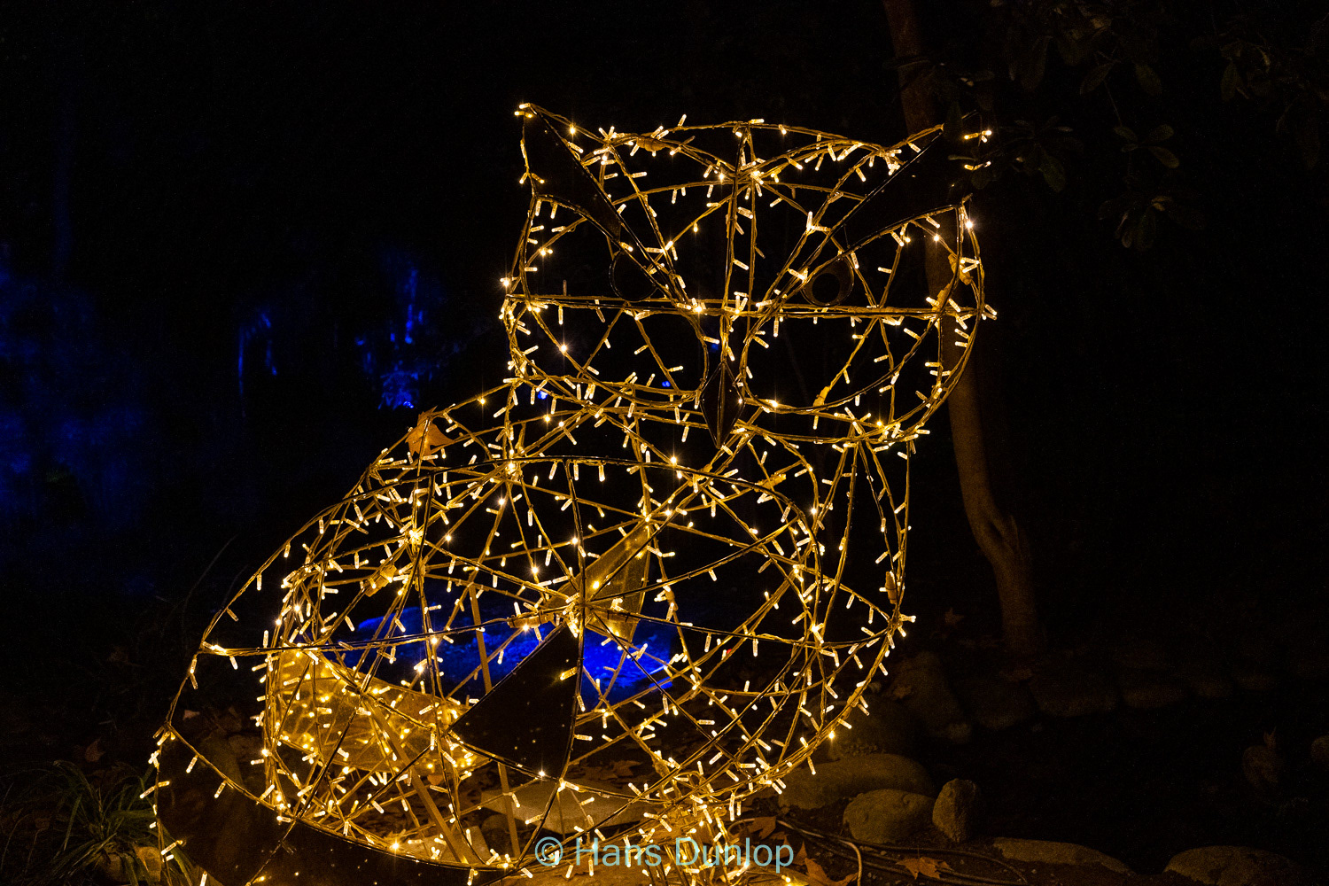 Christmas Garden: Jardin de la Conception