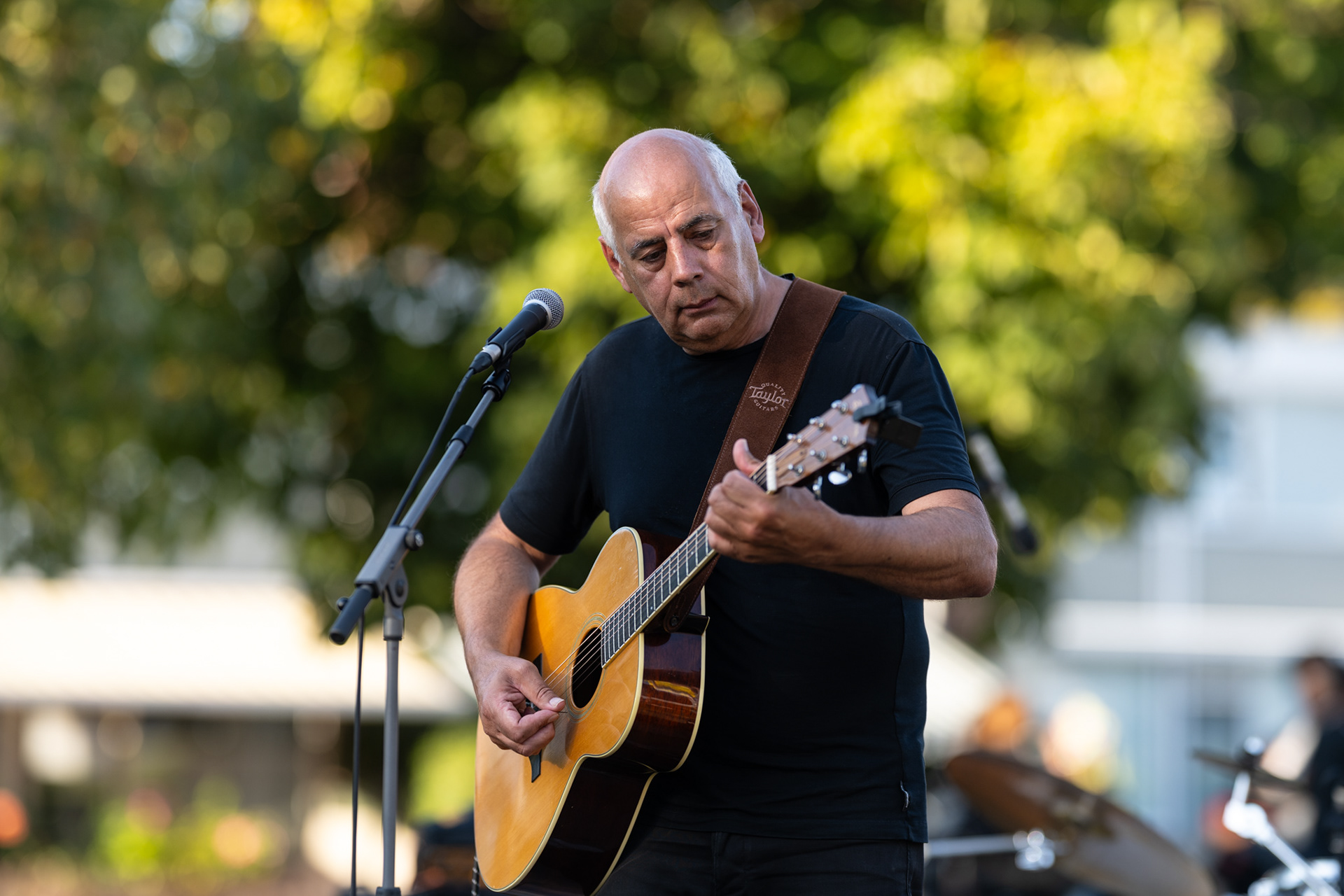 Peter Chattelin: Mr. Pink