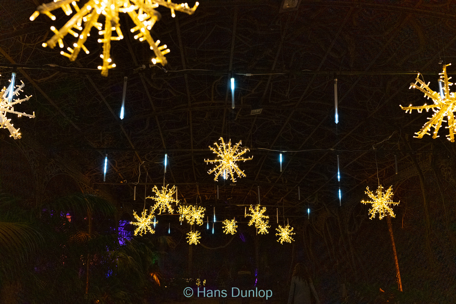 Christmas Garden: Jardin de la Conception