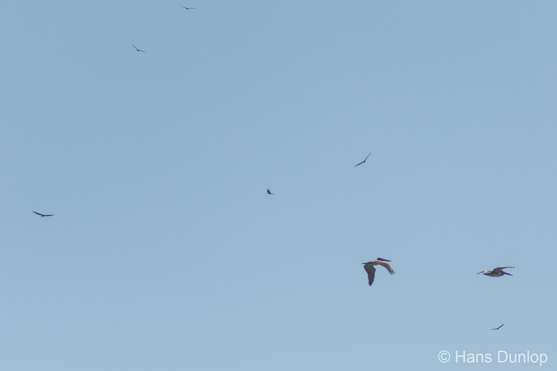 Fishermen, so lots of birds