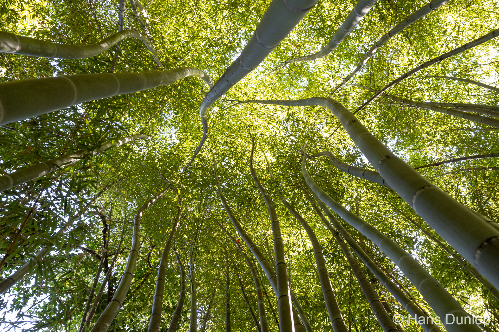 Jardín de la Concepción, Malaga