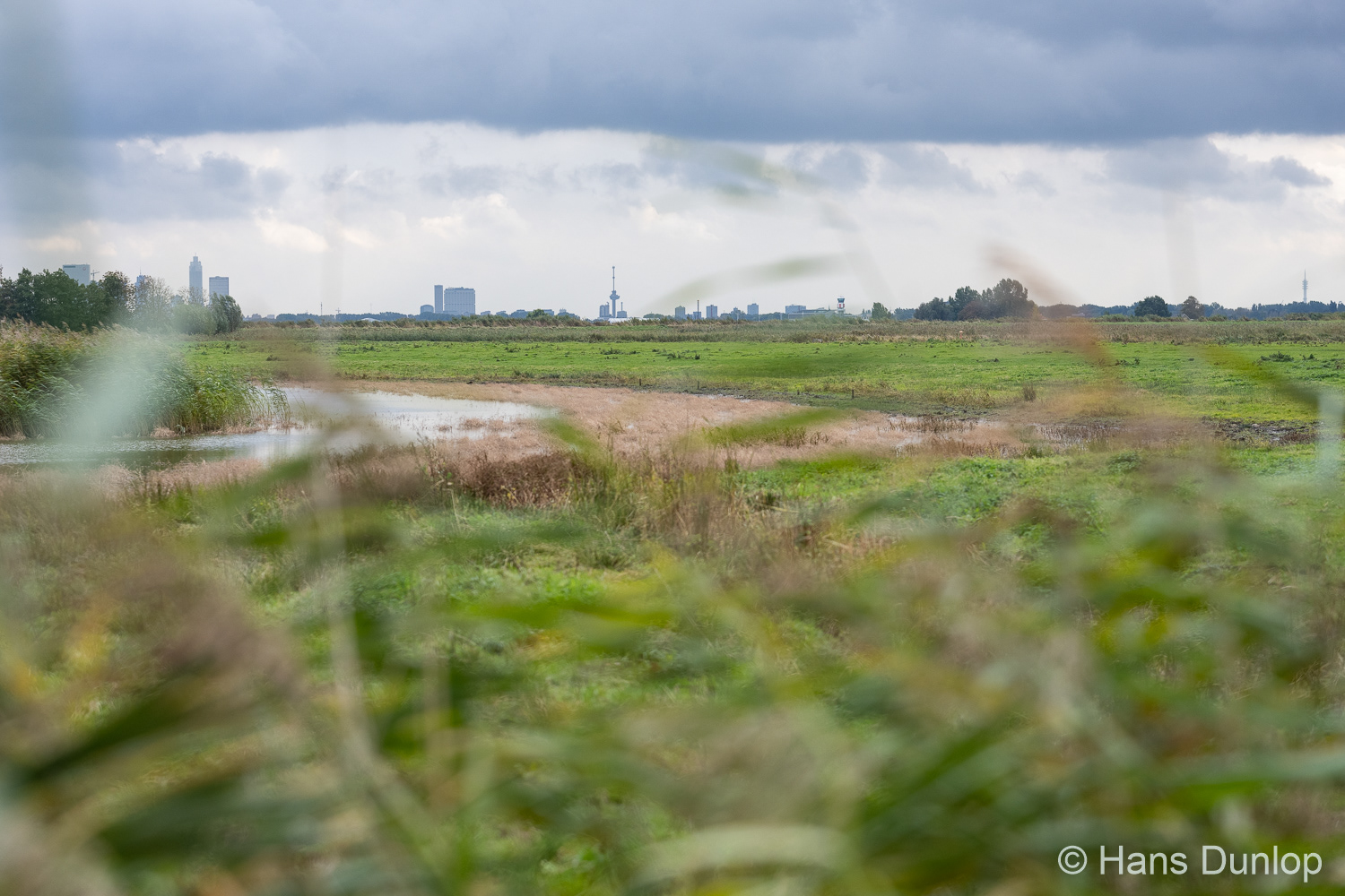 Ackerdijkse Plassen