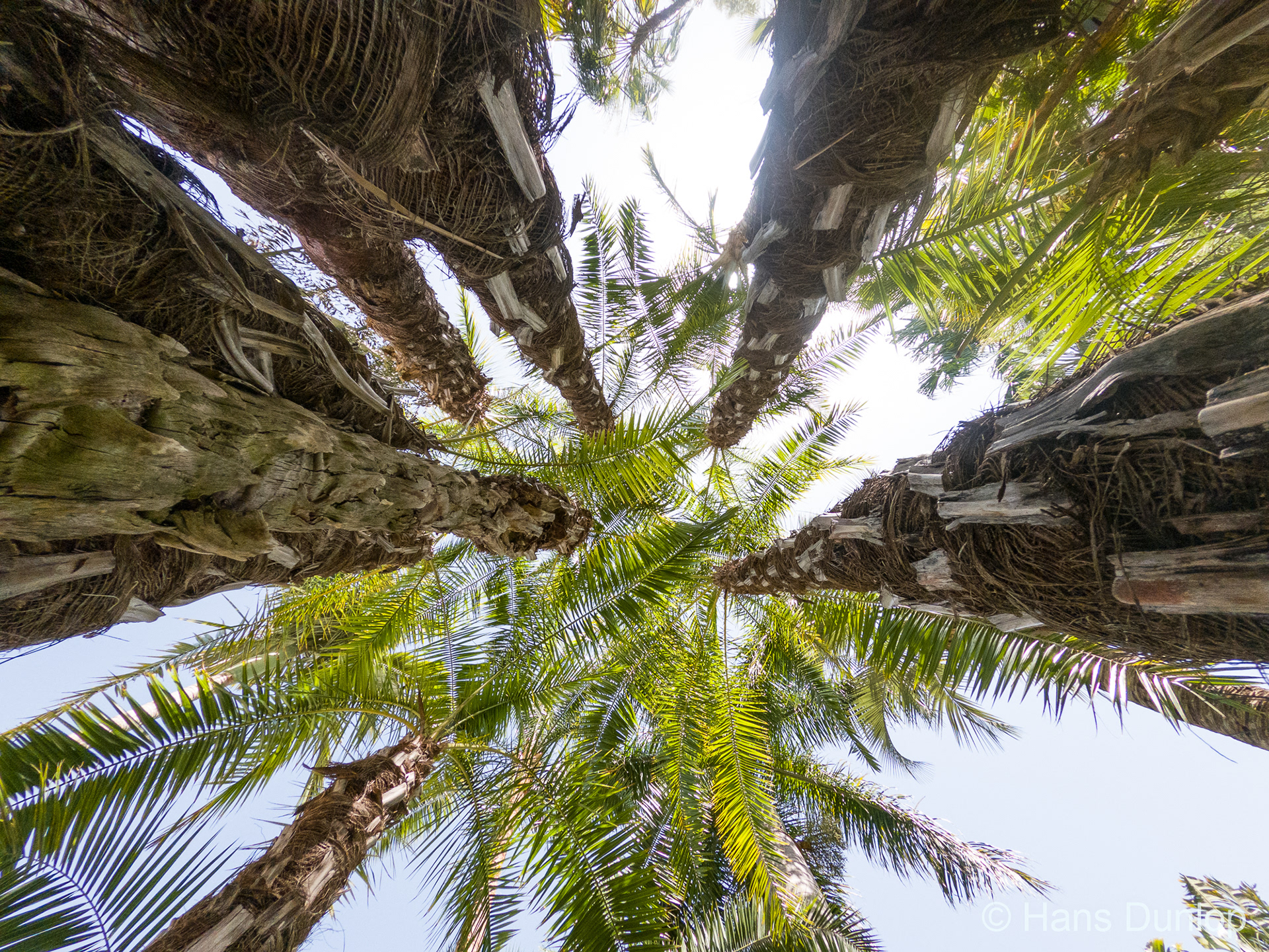 Jardin Botanico Molino de Inca, Torremolinos