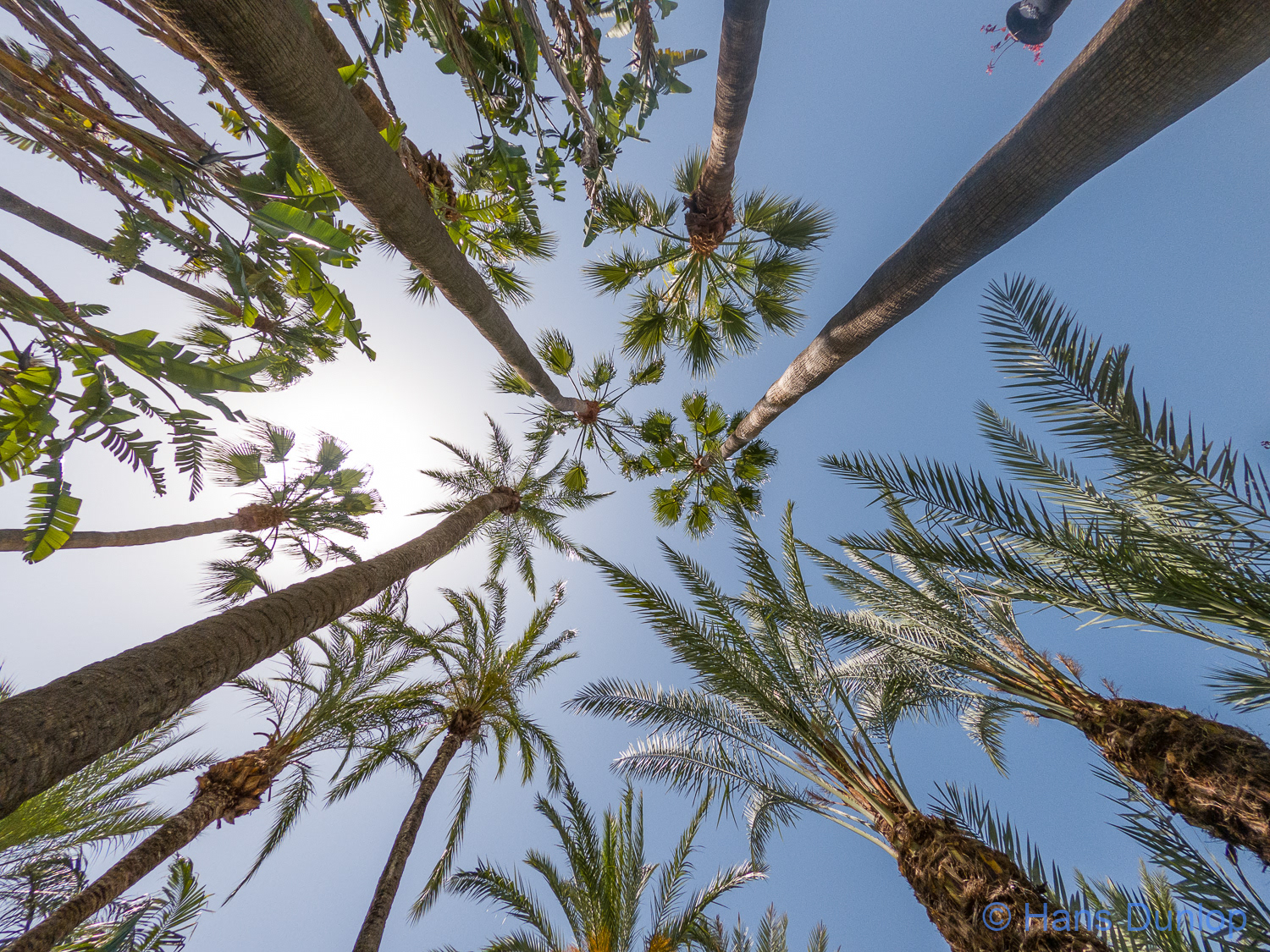 Jardin Botanico Molino de Inca, Torremolinos