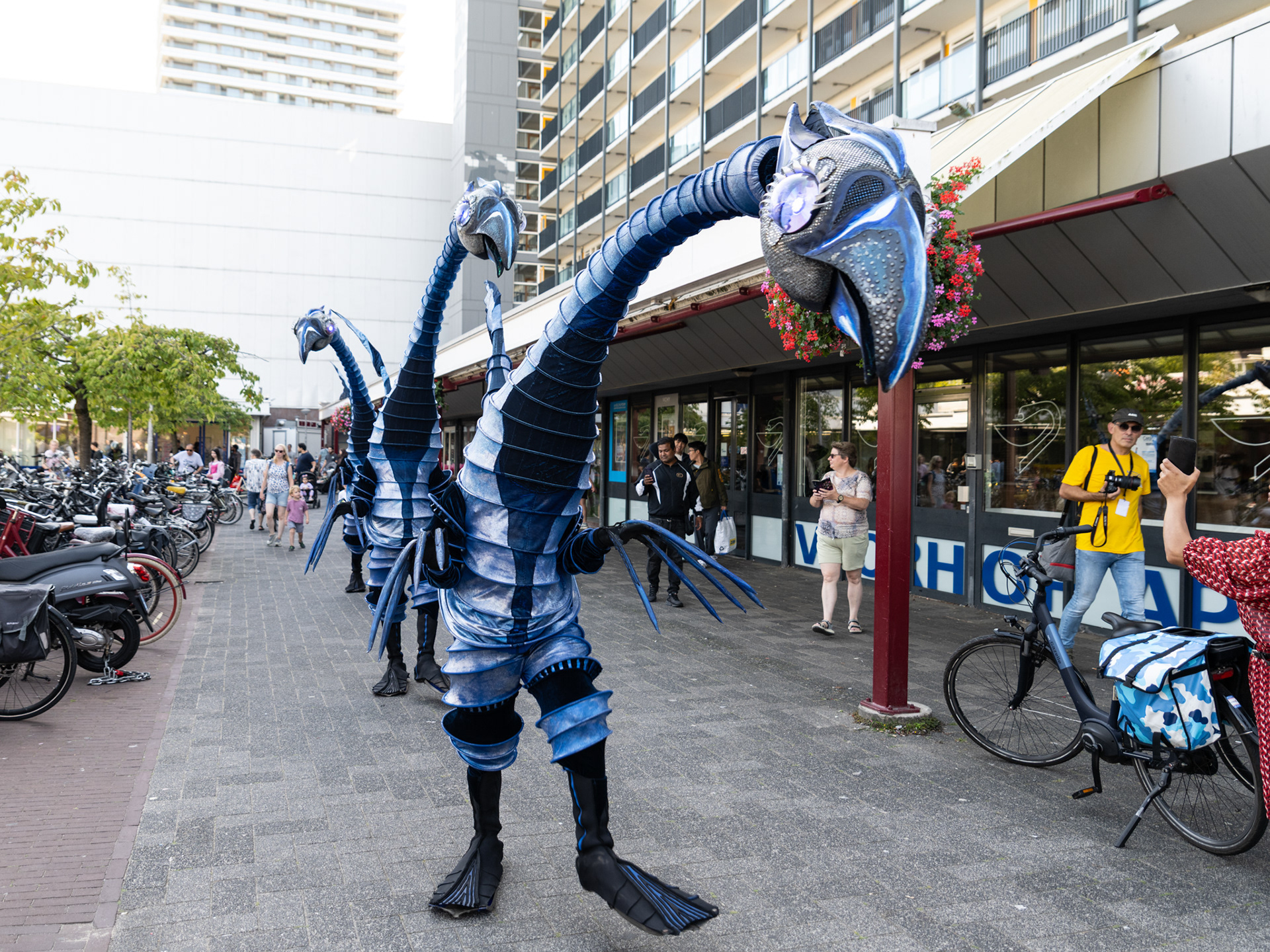 Close Act: Blue Birds