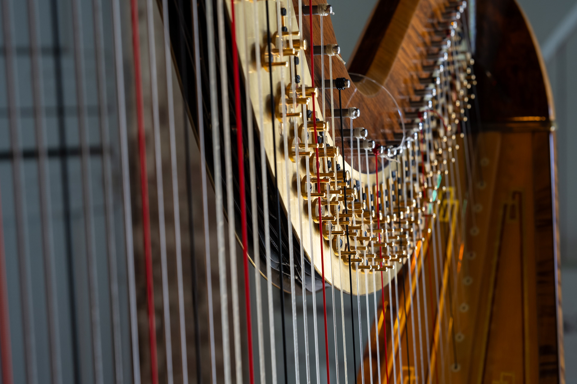 Atlantis Duo in de Stadsboerderij