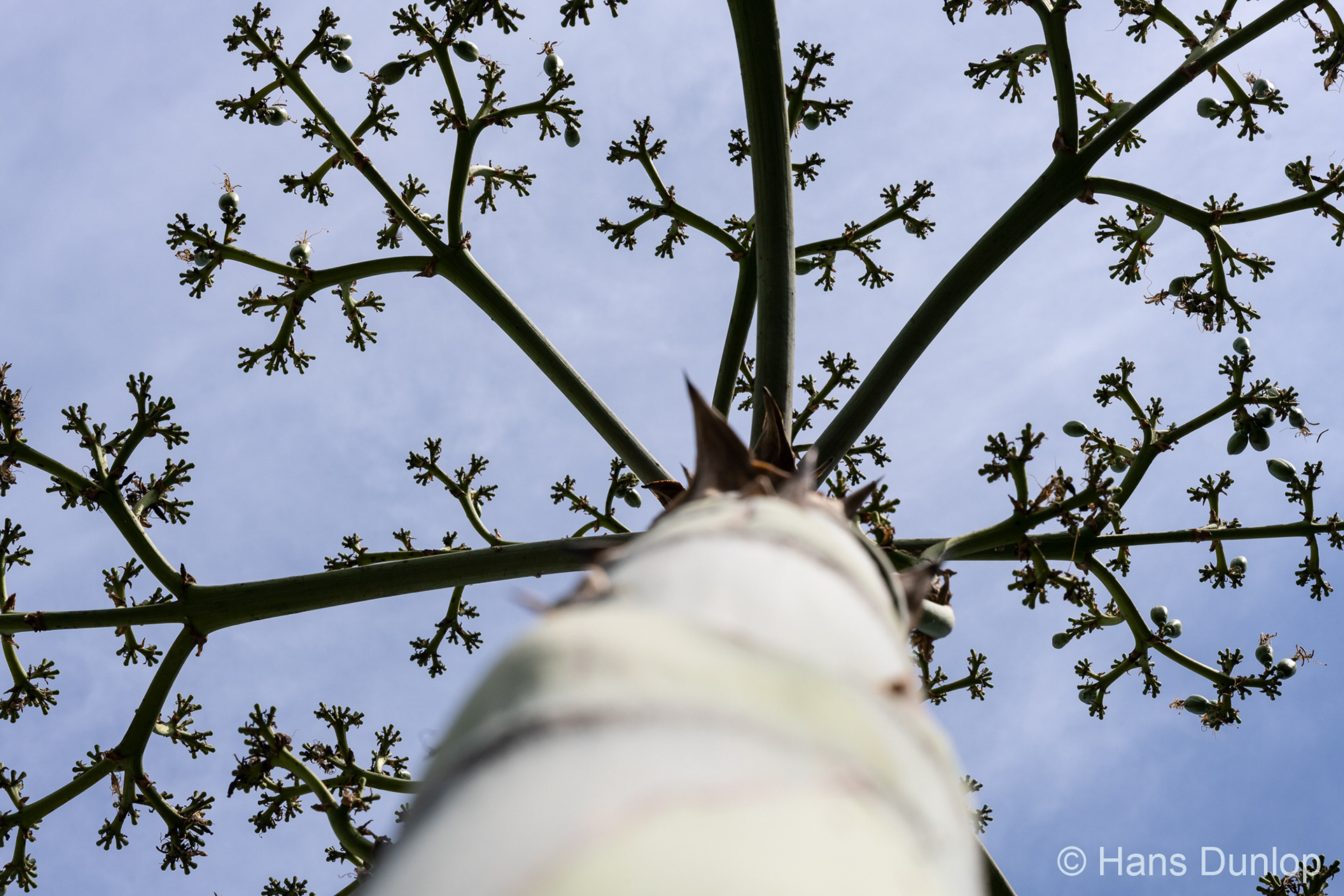 Parque Paloma, Benalmadena