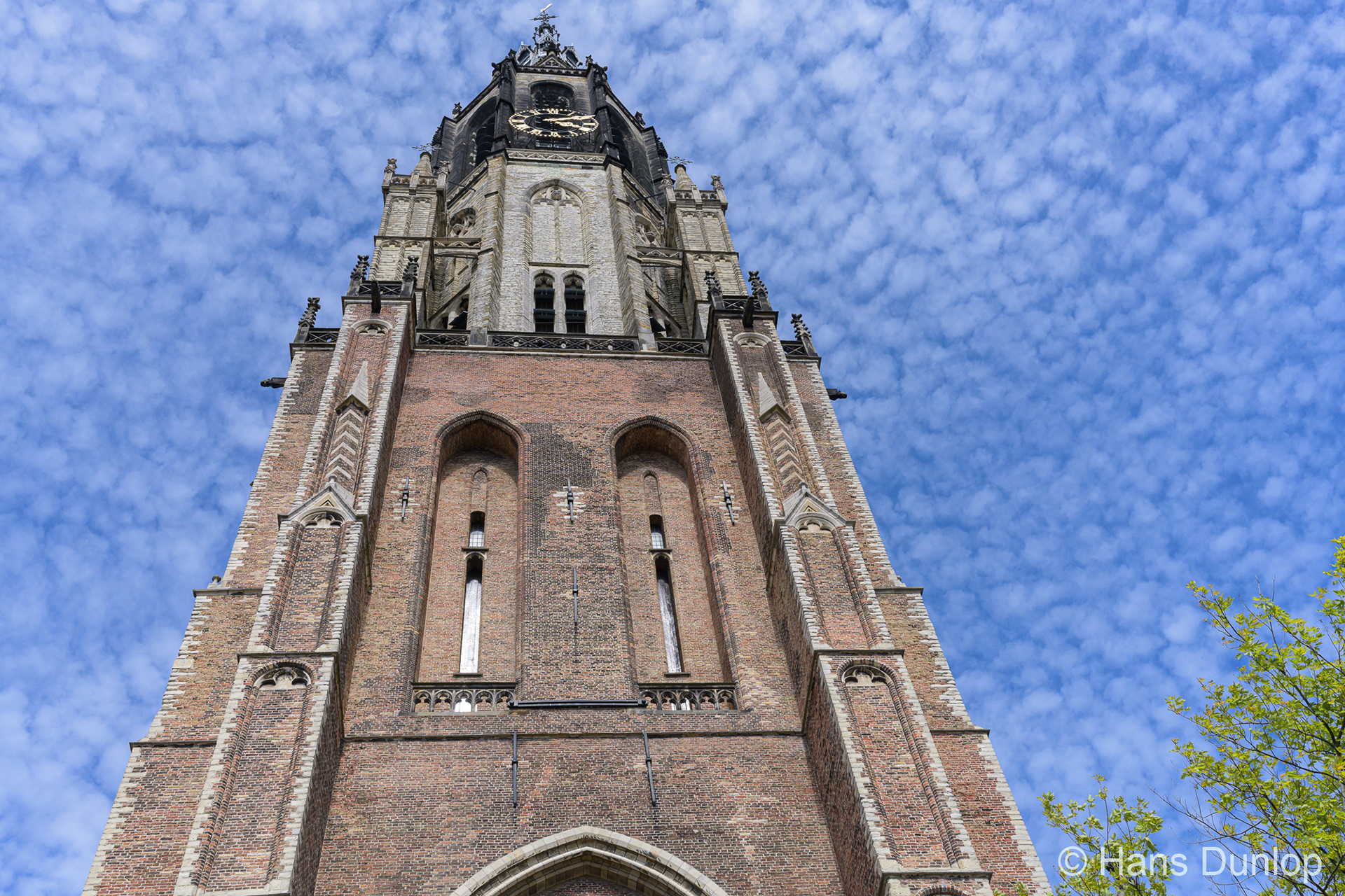 De herder in de schapenwolkjes