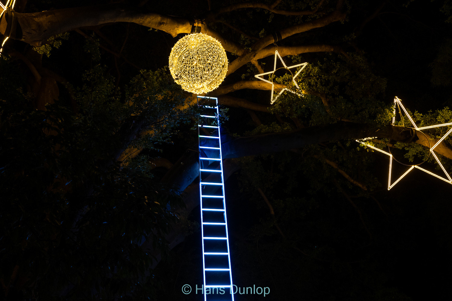 Christmas Garden: Jardin de la Conception
