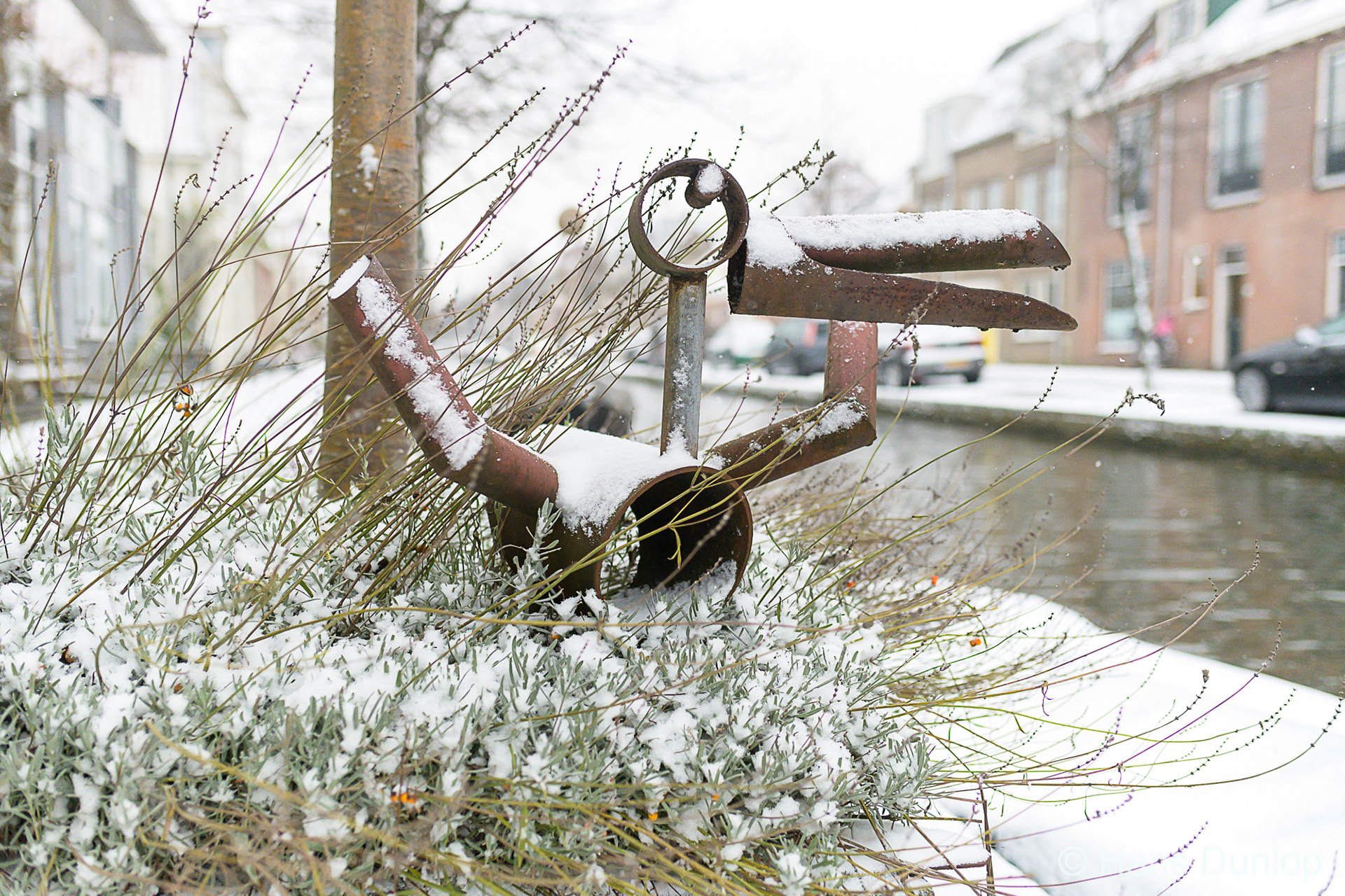 Wildlife at the Buitenwatersloot