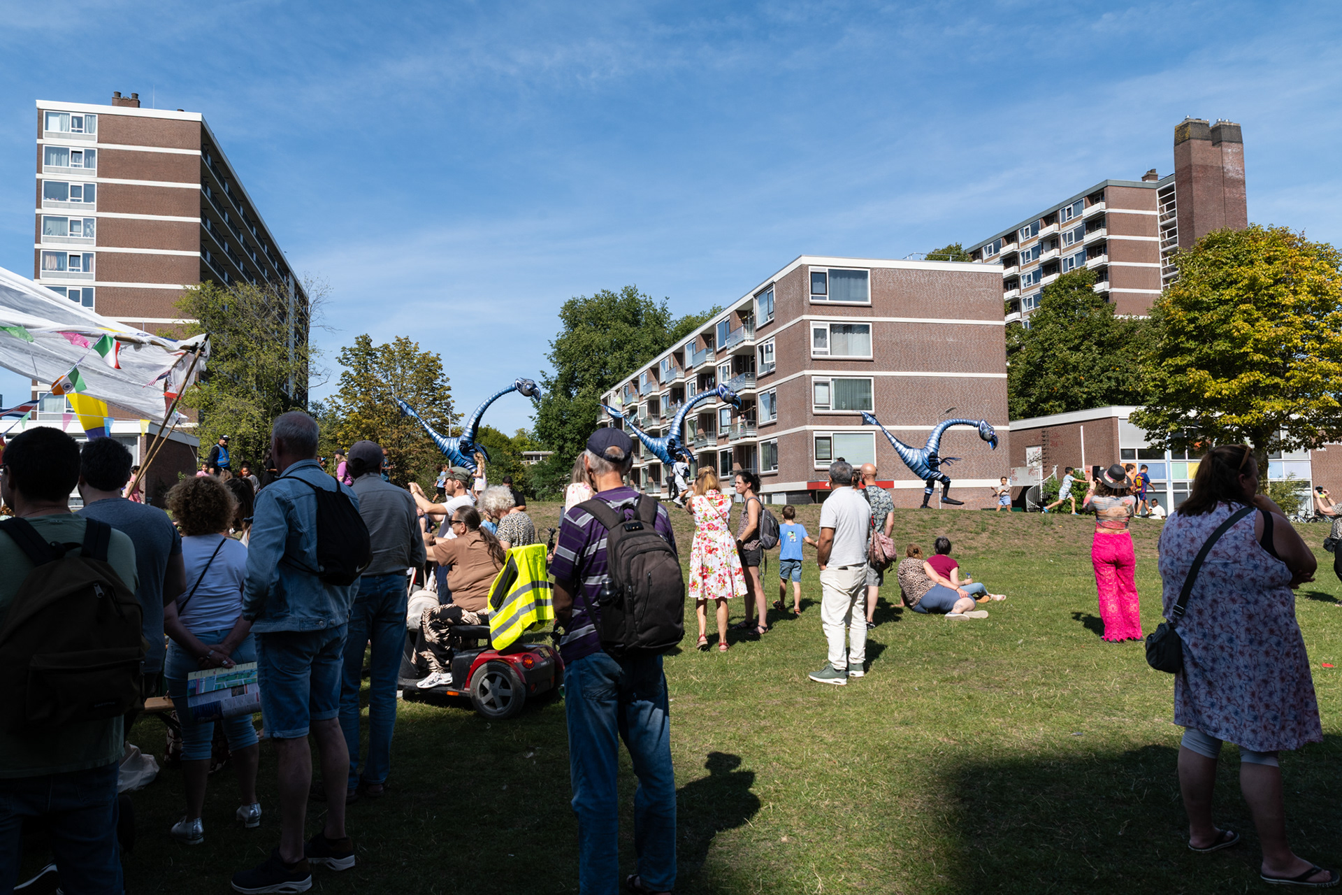 Close Act: Blue Birds