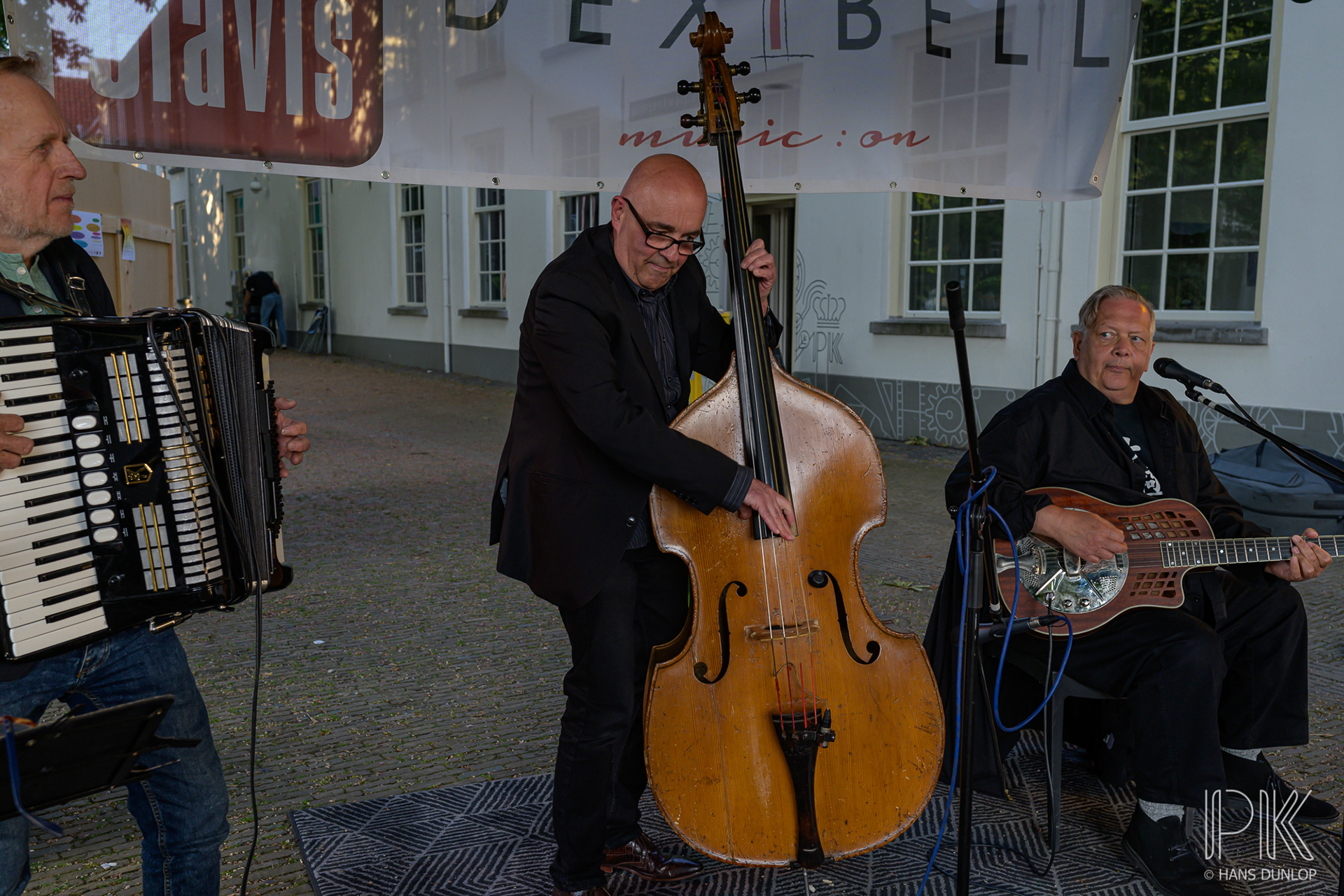 Kees Kingsize and the Big Cats