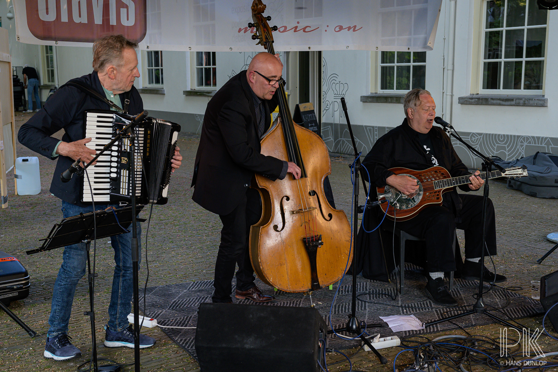 Kees Kingsize and the Big Cats