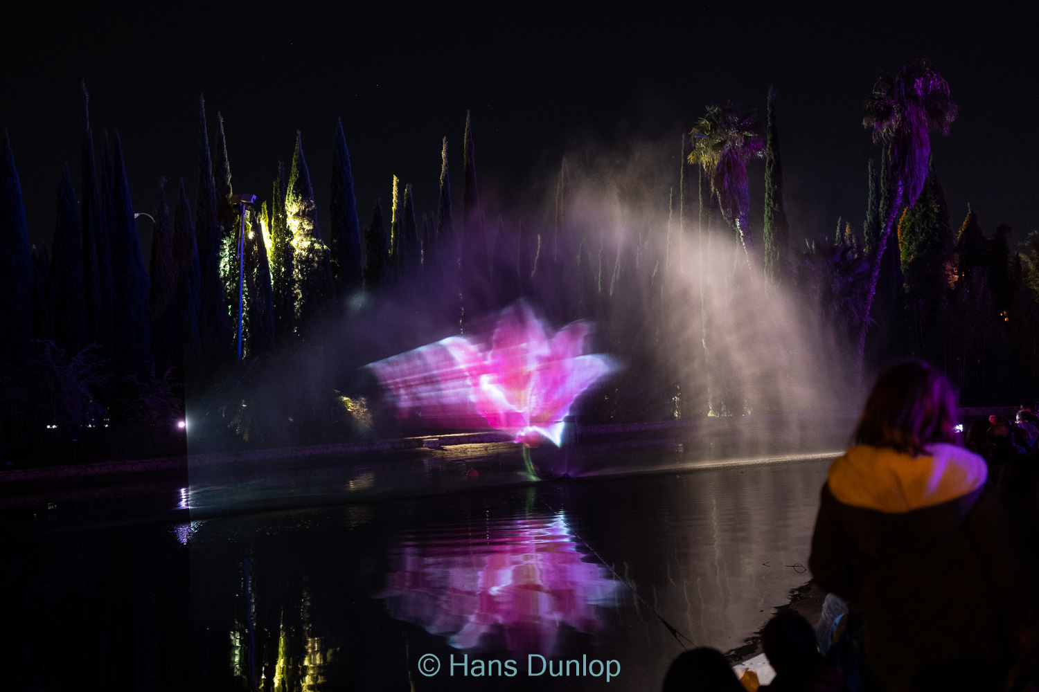 Christmas Garden: Jardin de la Conception