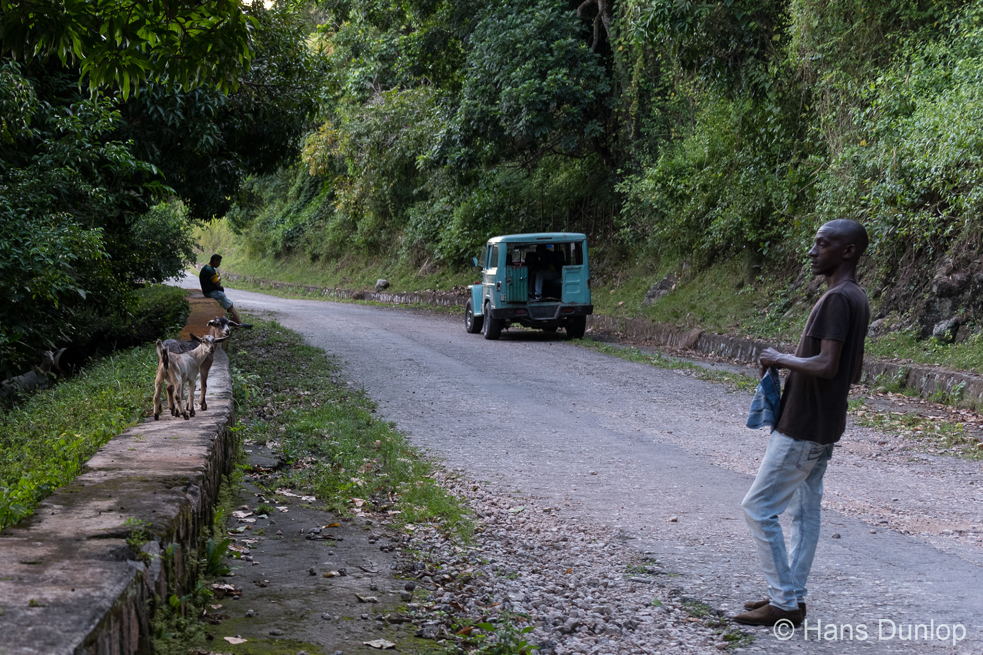 Barbaro, our guide for the day