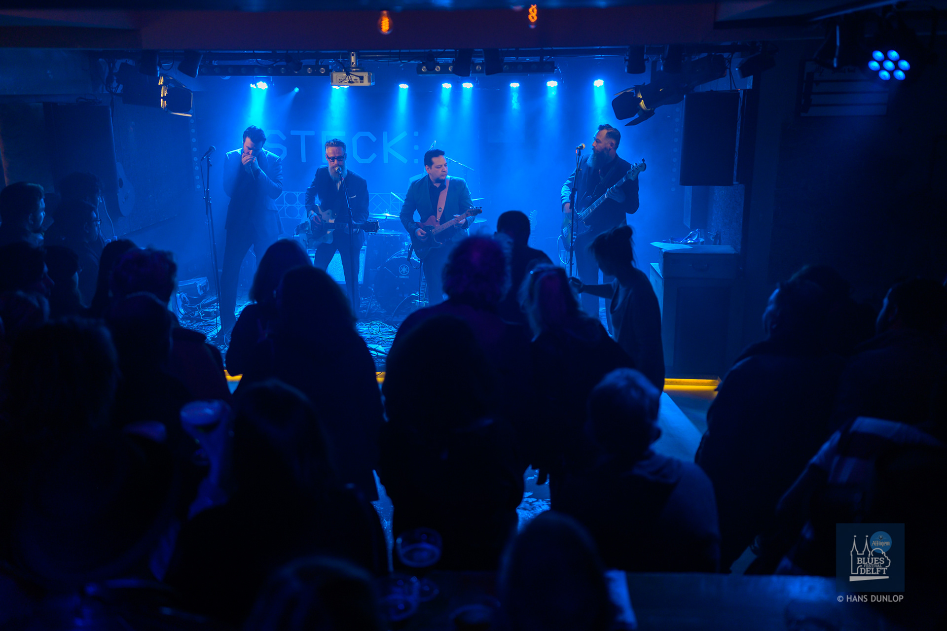 Black Cat Biscuit in Steck